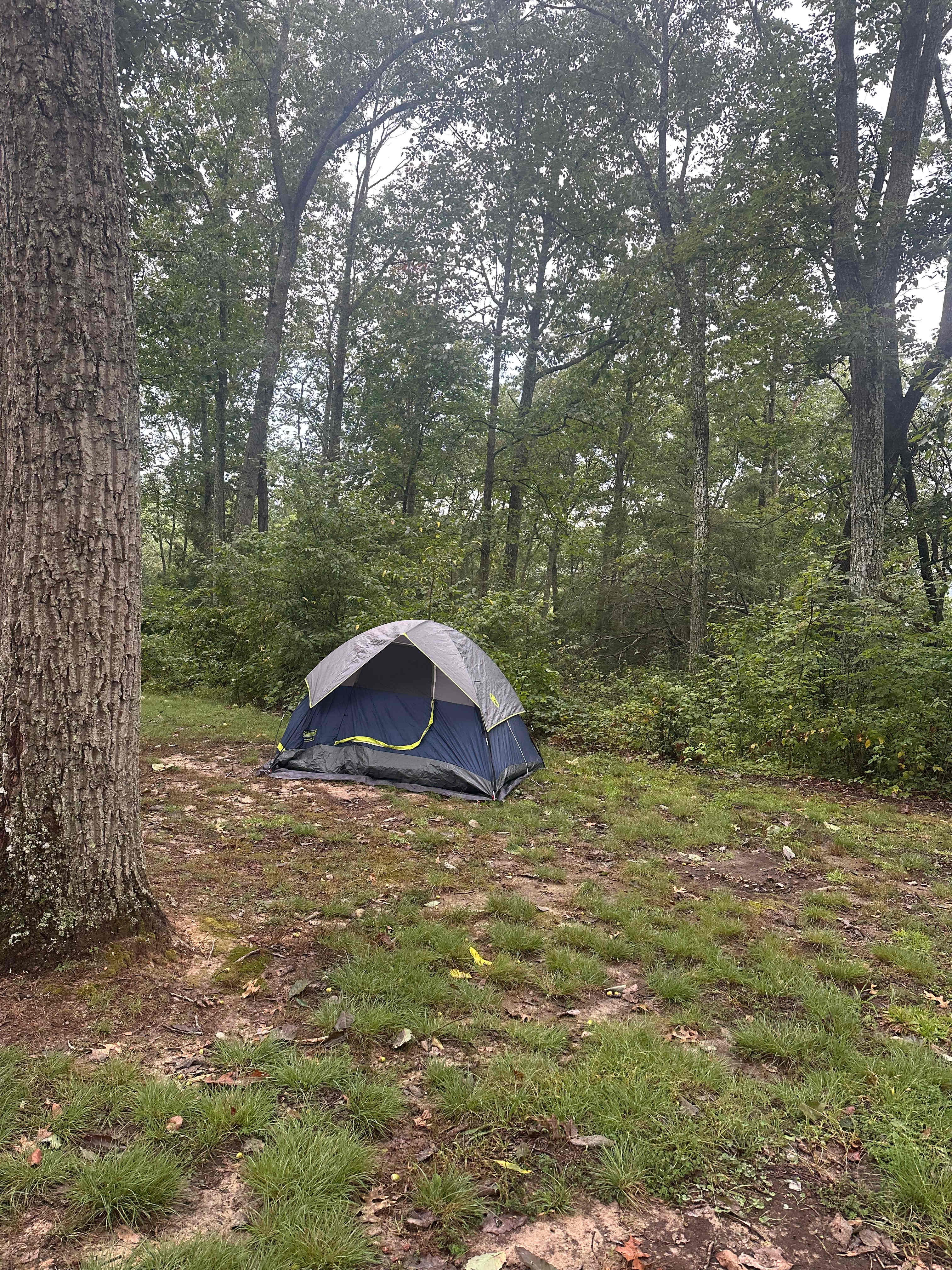 Arrowhead Bike Farm & Campground