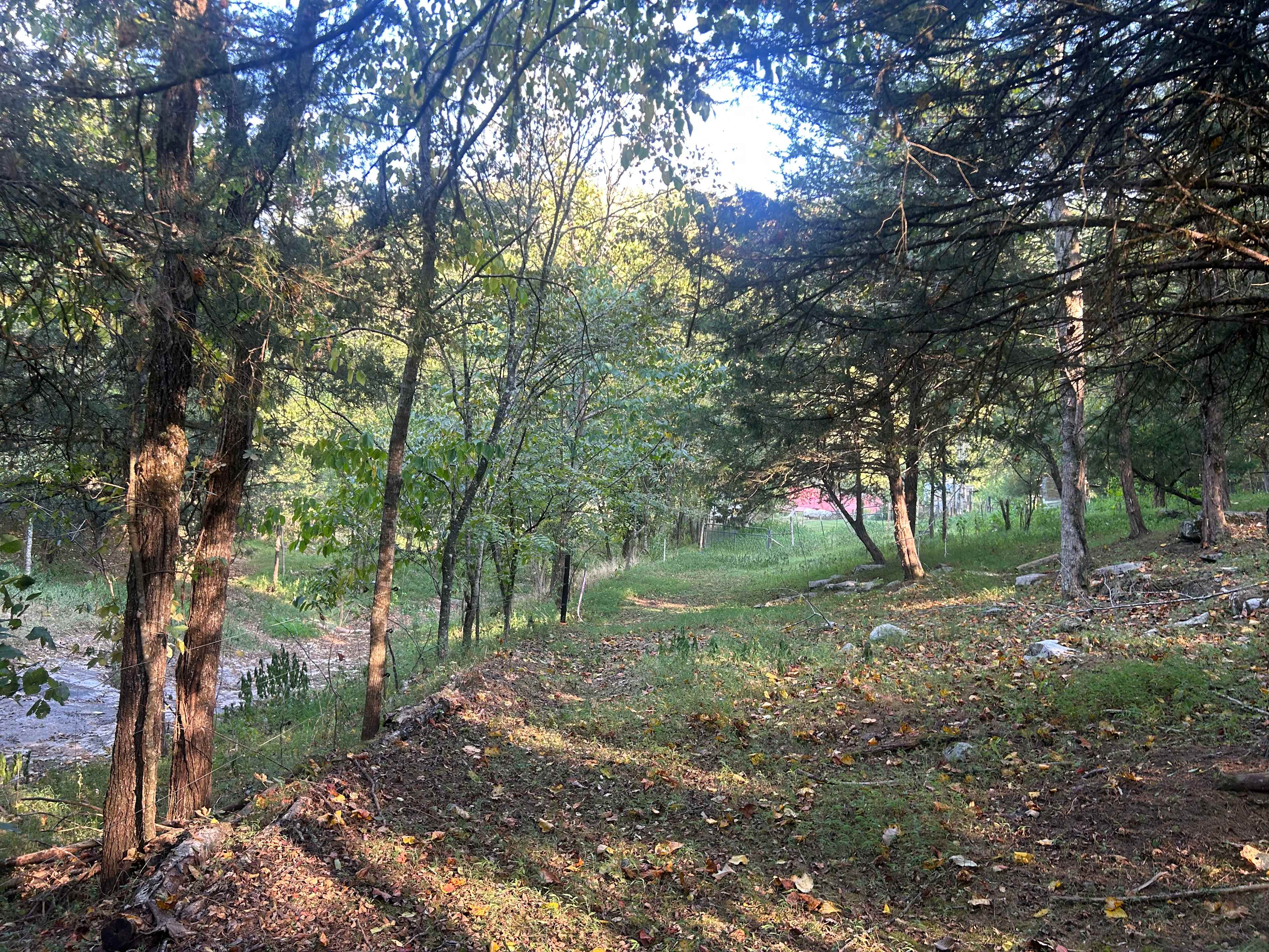 Holler Homestead Woodsy Retreat