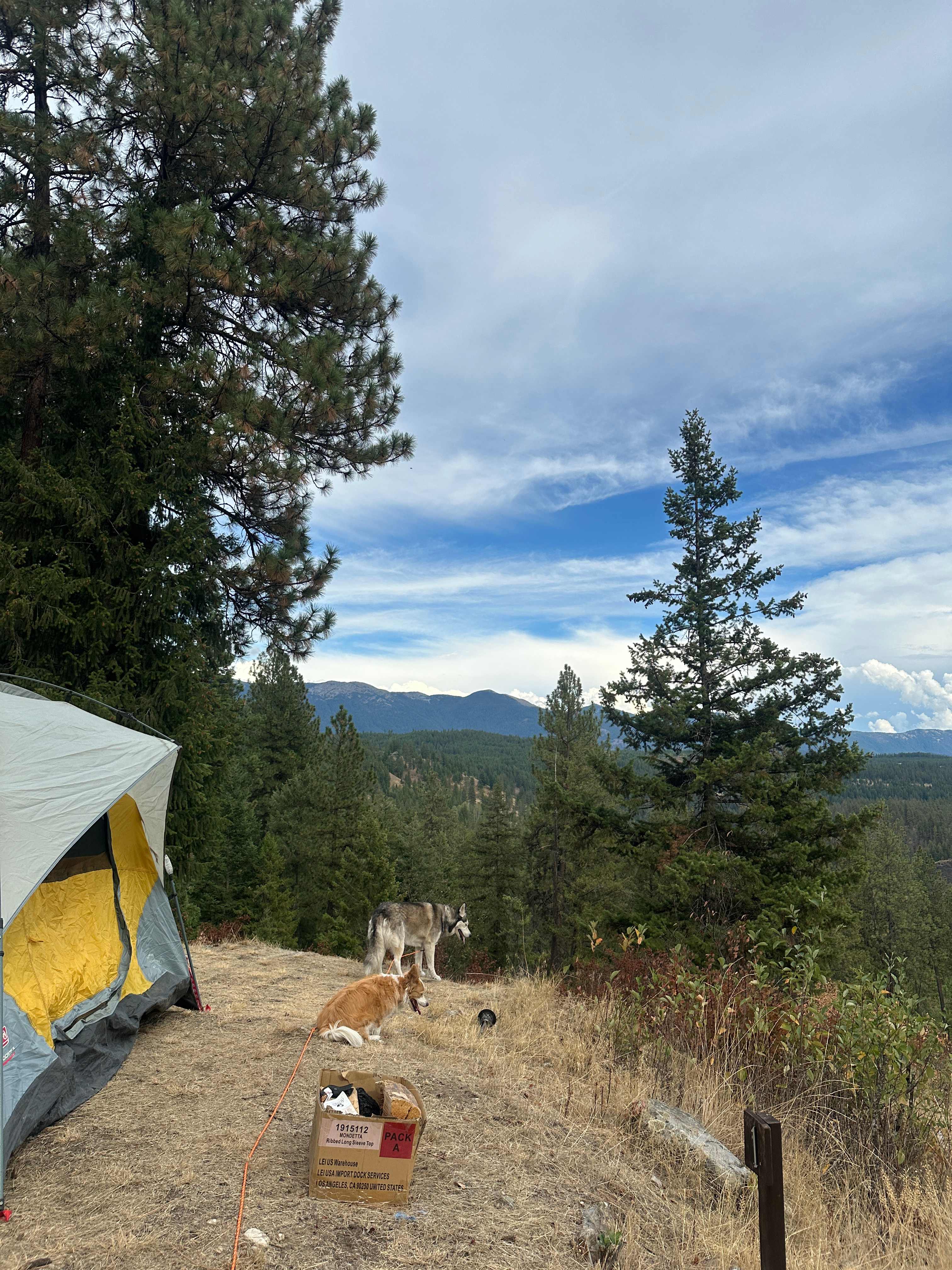 Mountainous River Camp