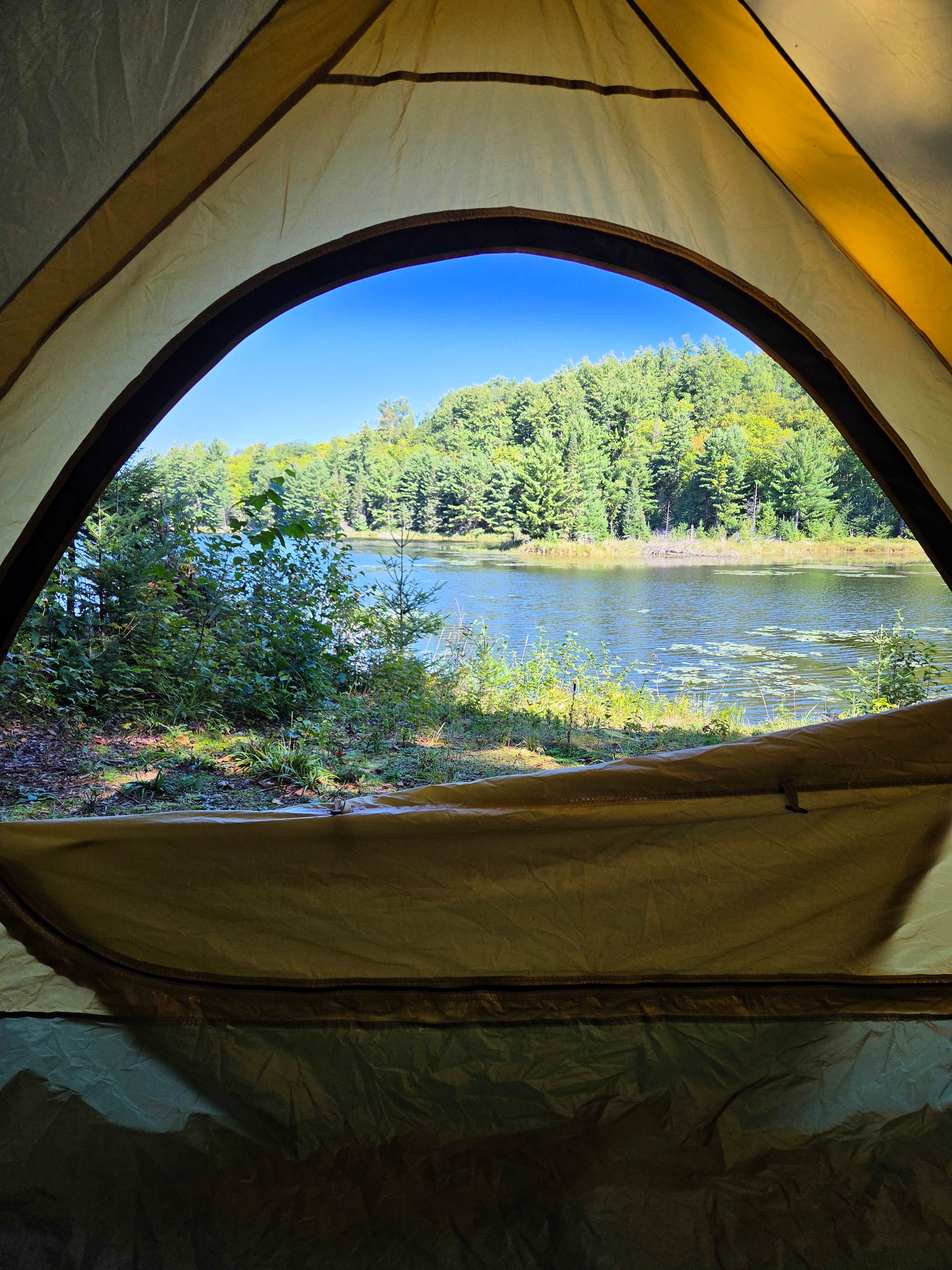 Ball Lake Tent Camping