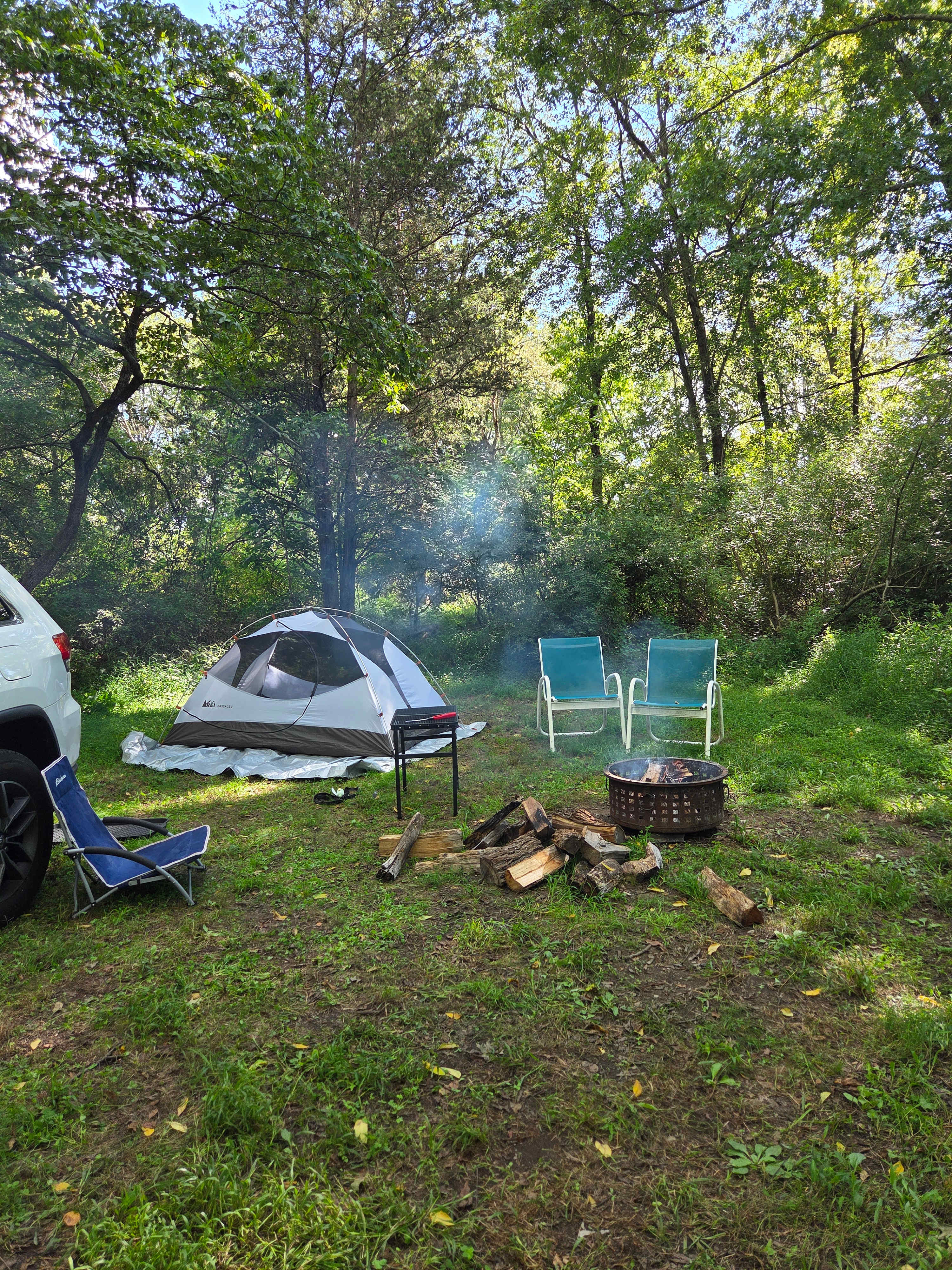 Wooded area with campsites