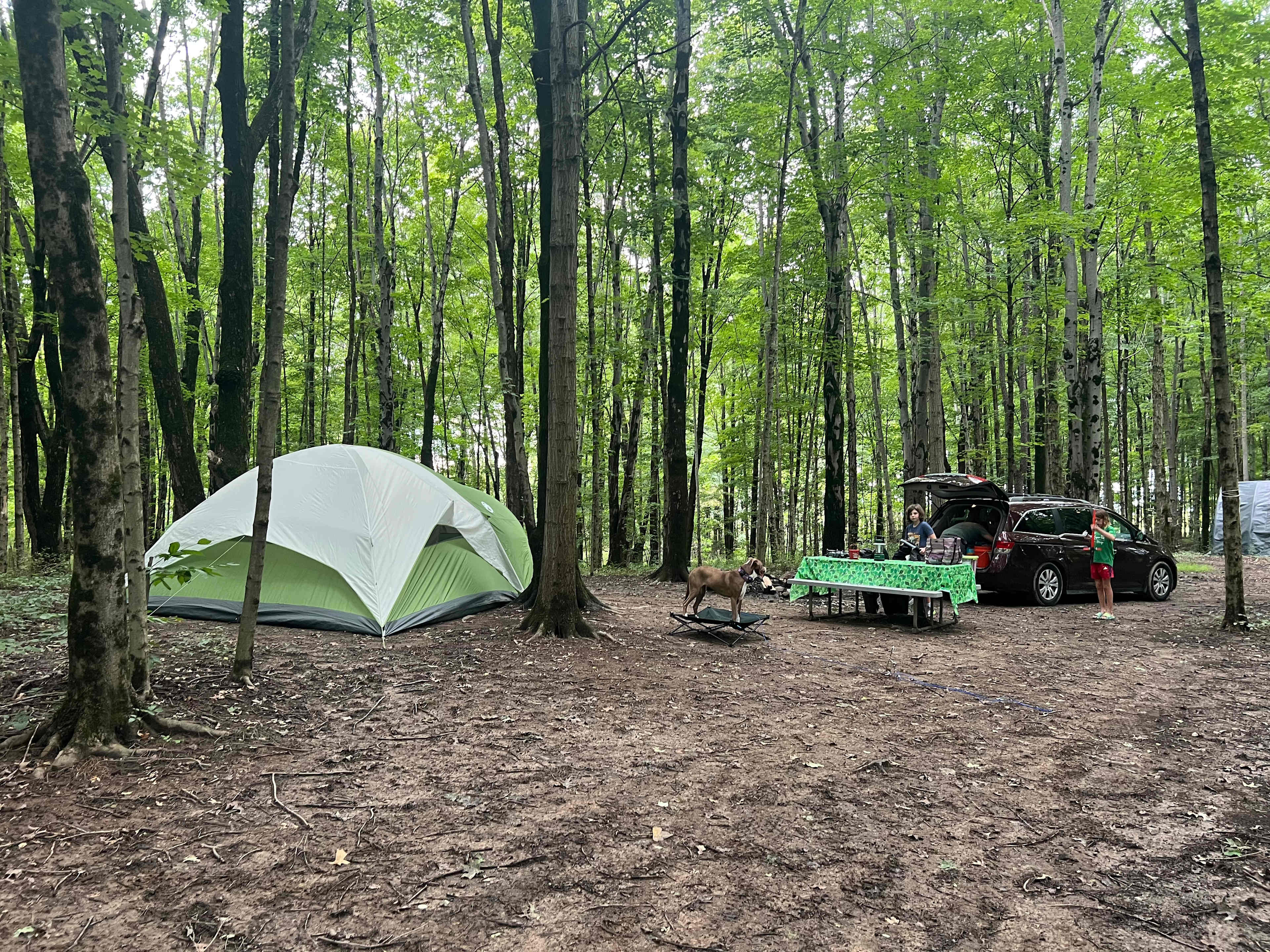 Site 6 