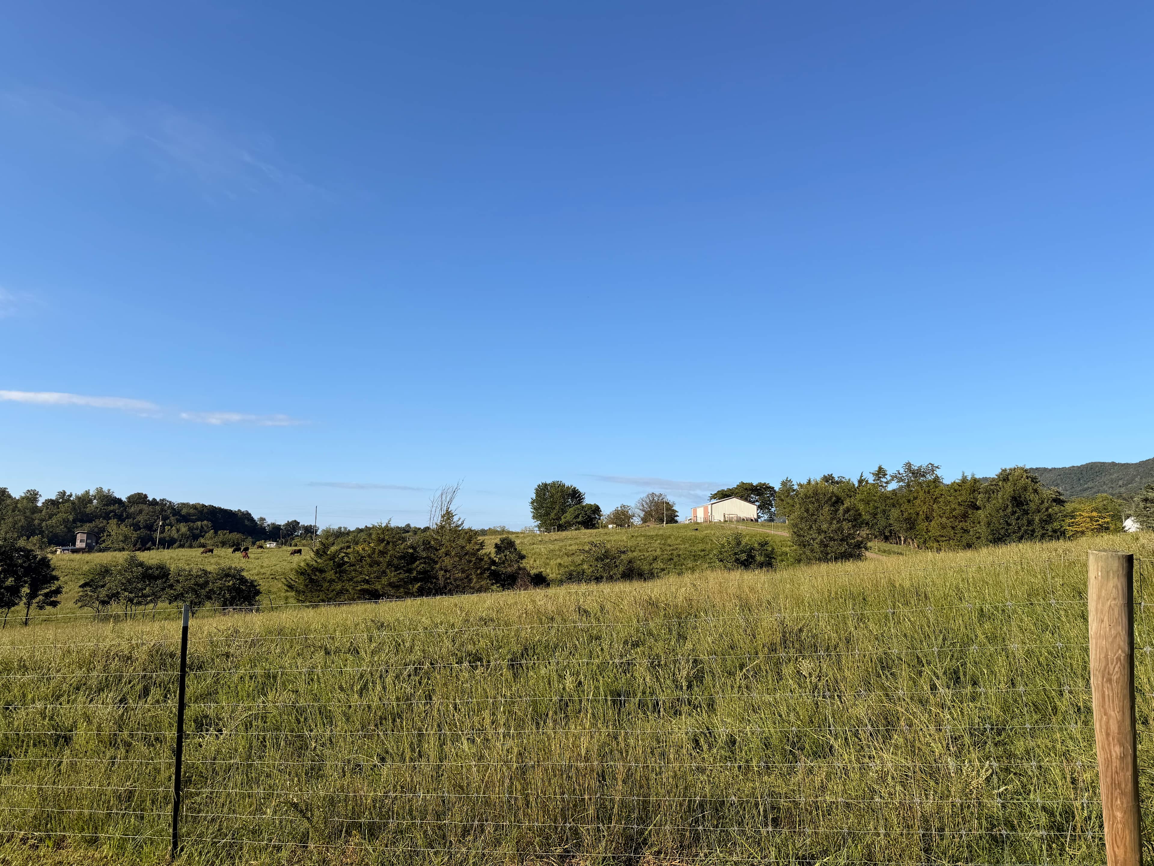 Our Farm in Strasburg, VA