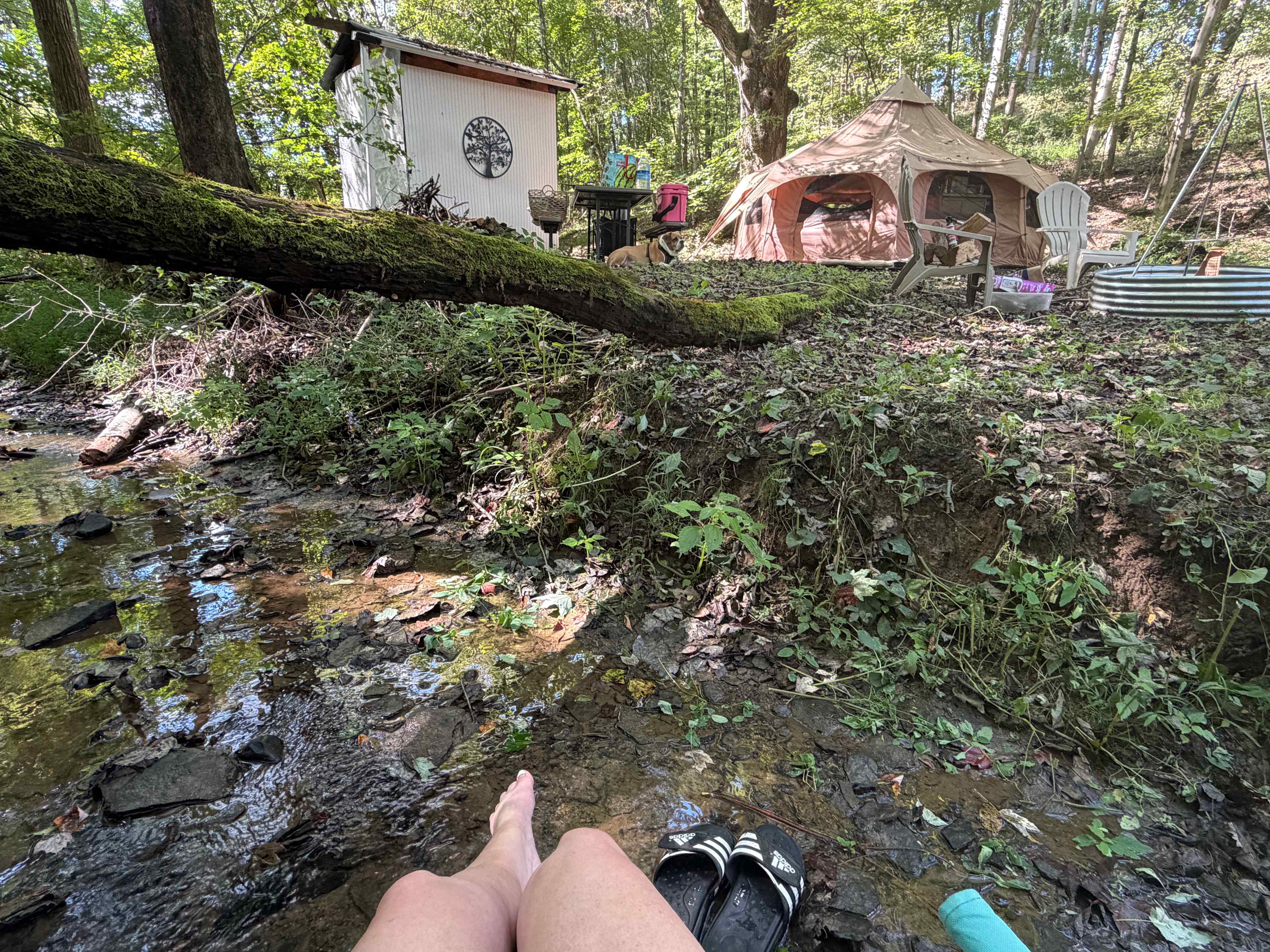 Sacred Tree Sanctuary in Newark, OH