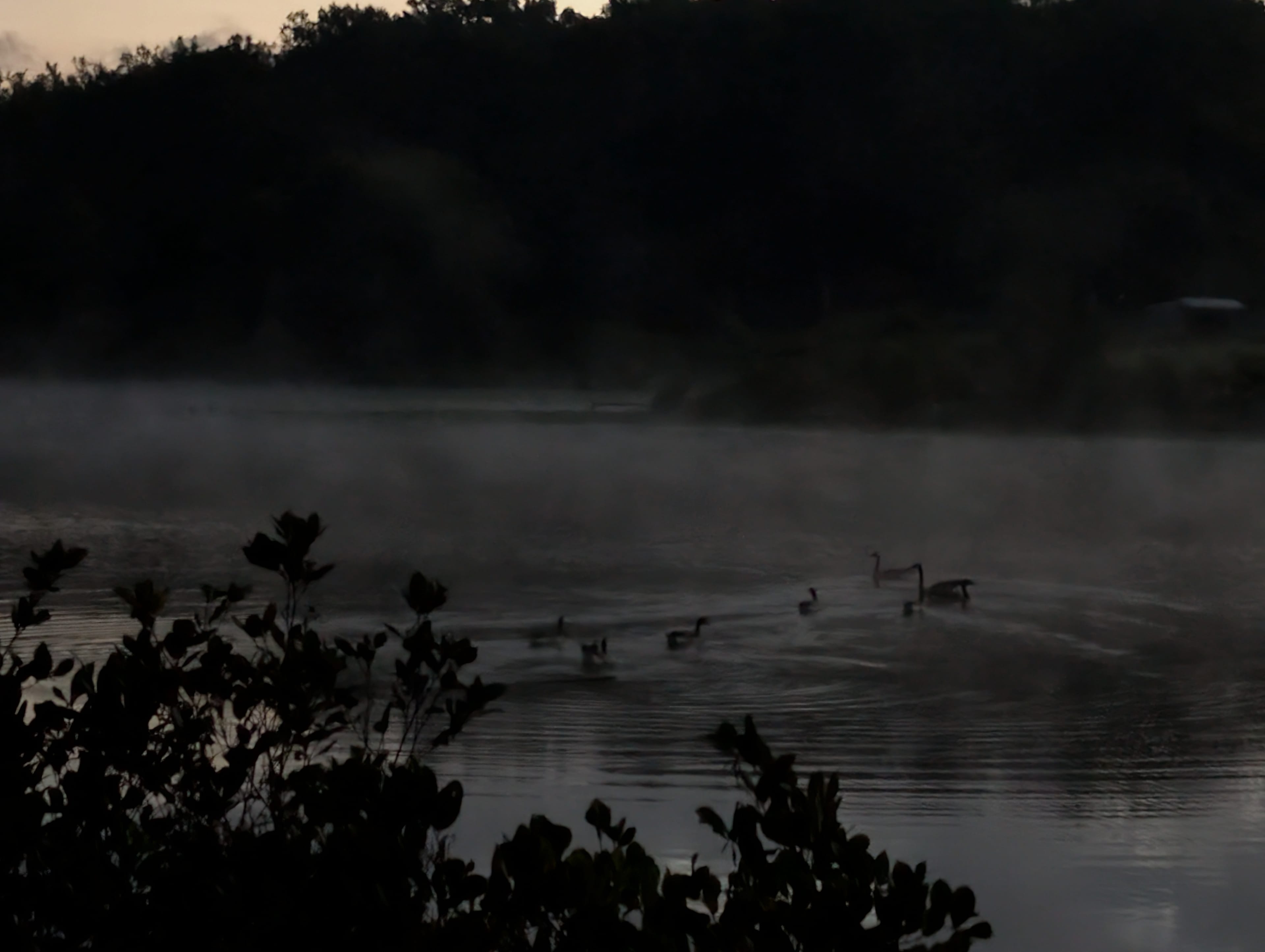 Sunrise by the Pond
