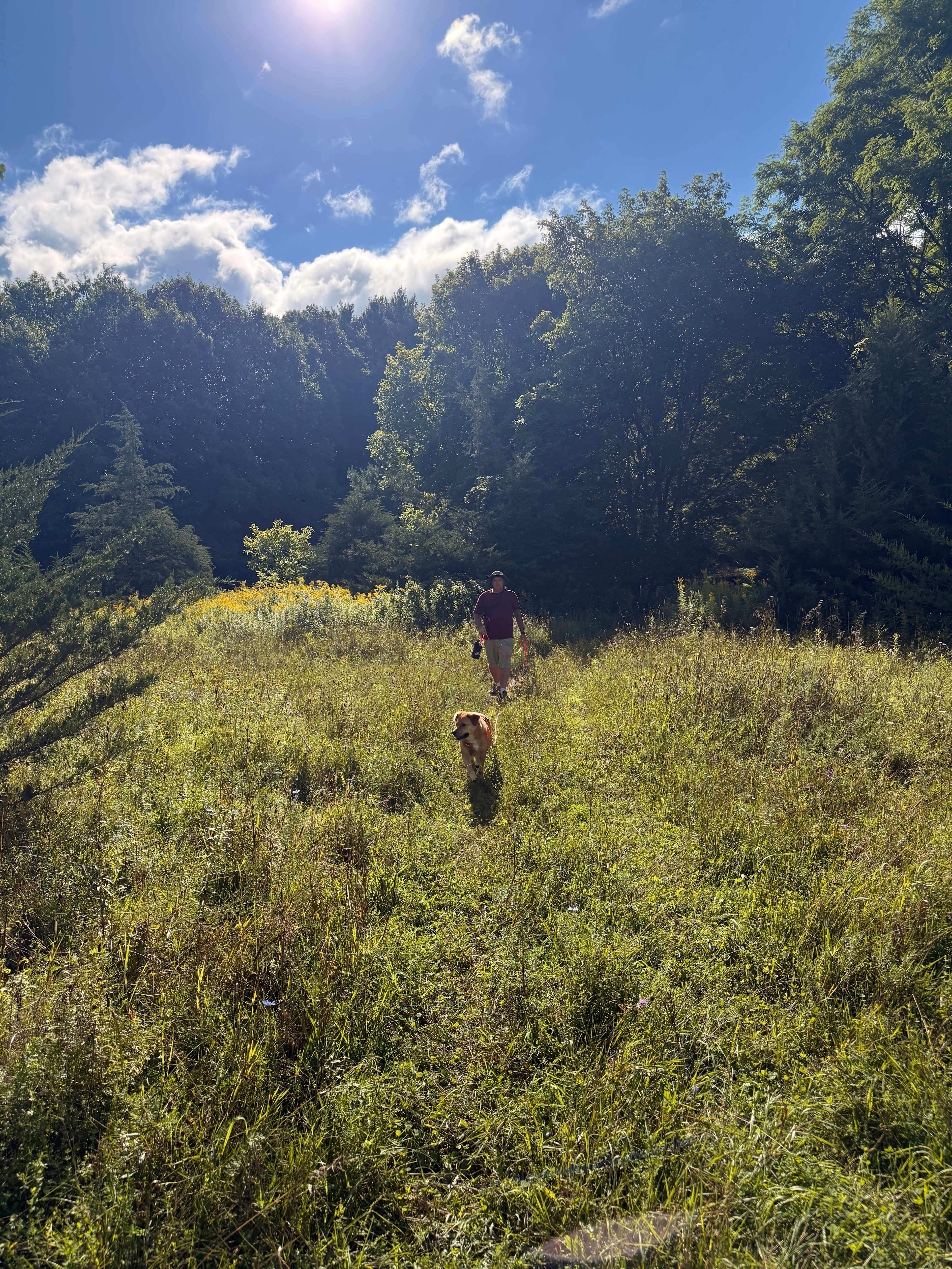 Way-Ward Trail