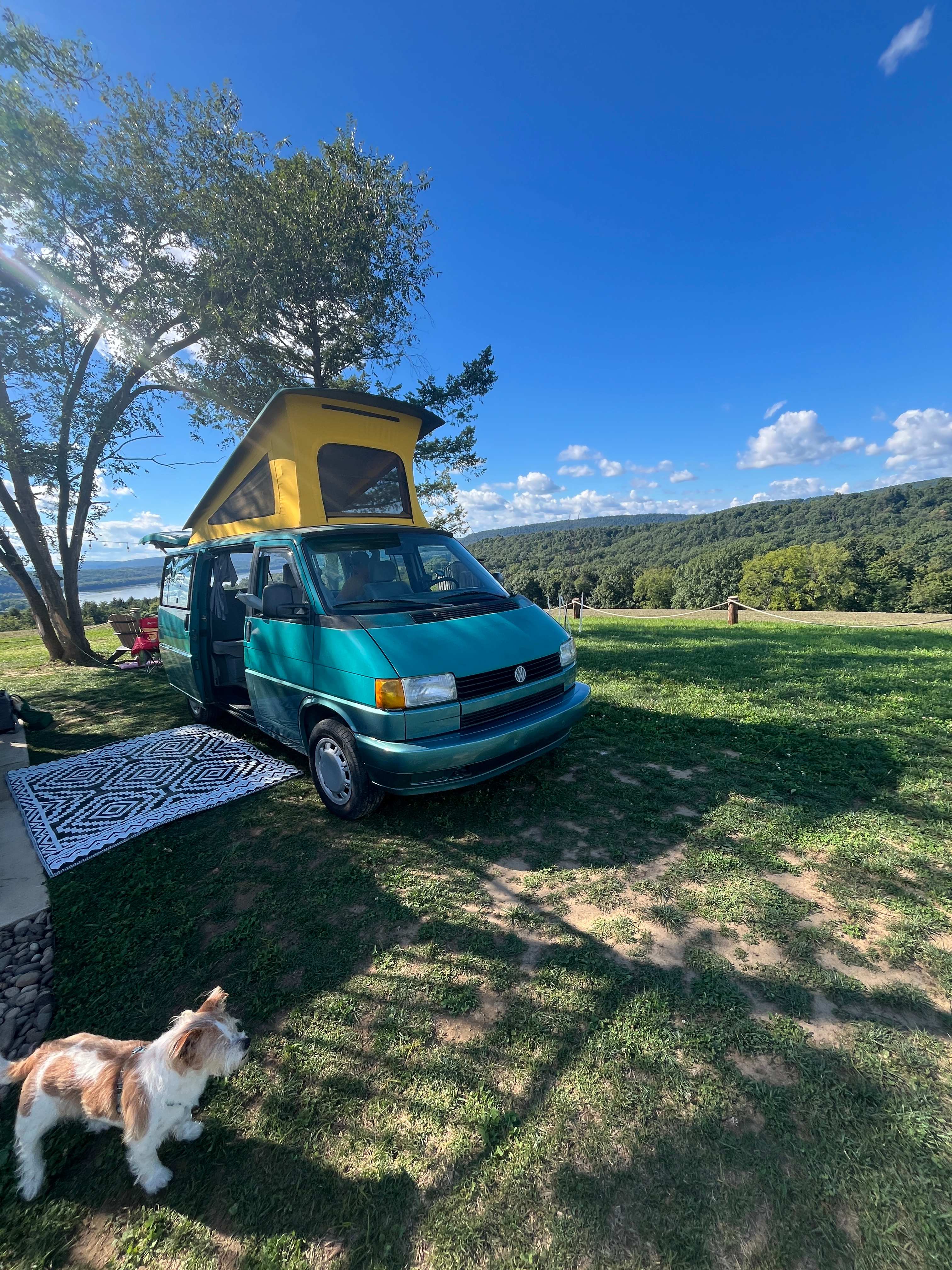 White Squirrel Campsite Poperties