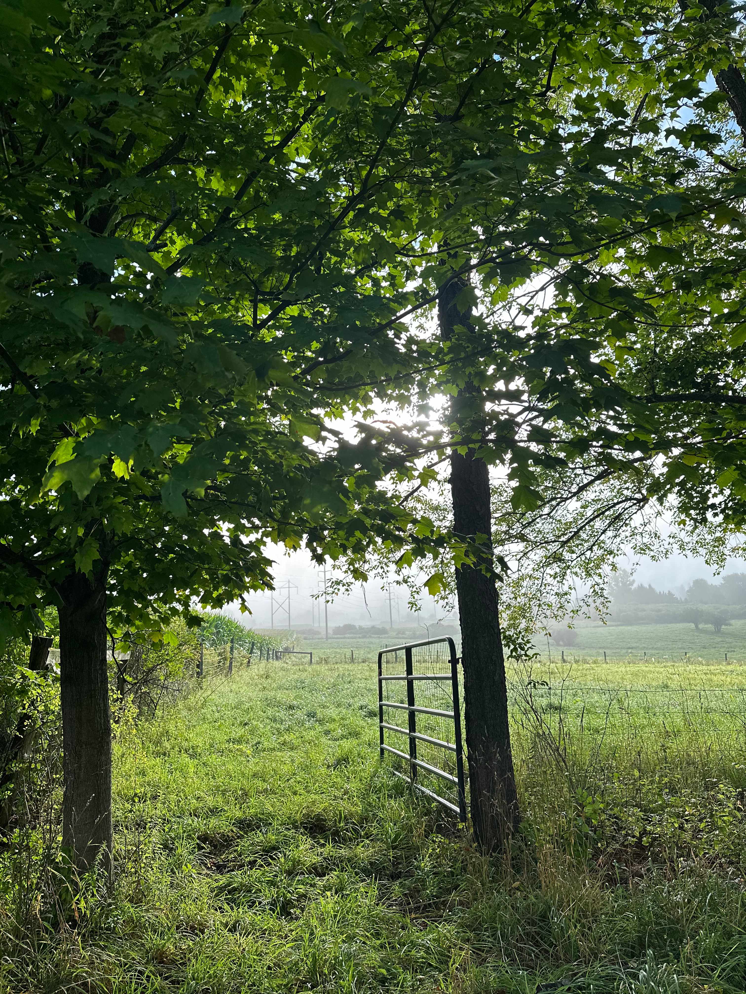Underhill Forest and Farm