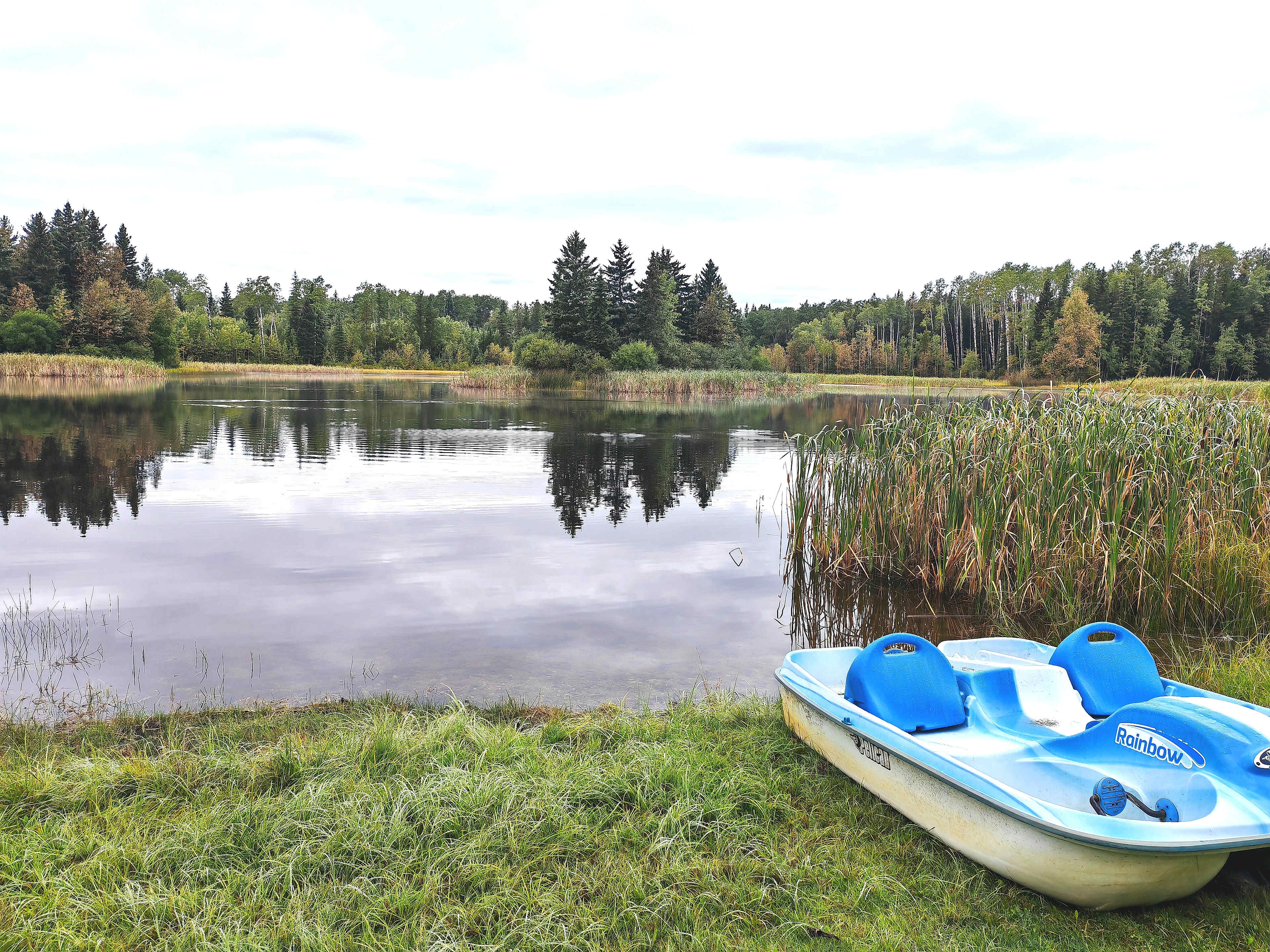 Wellness Retreat