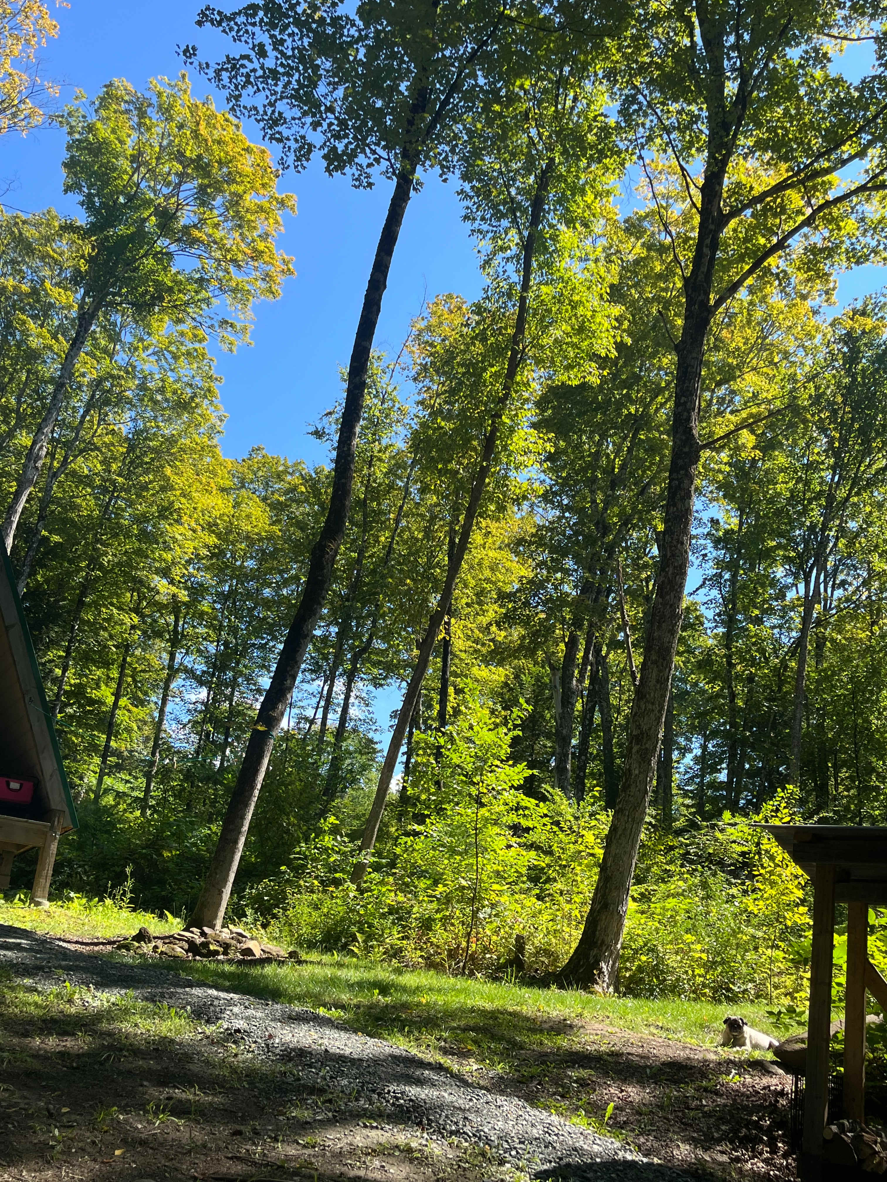 A-Frame Retreat In The Woods