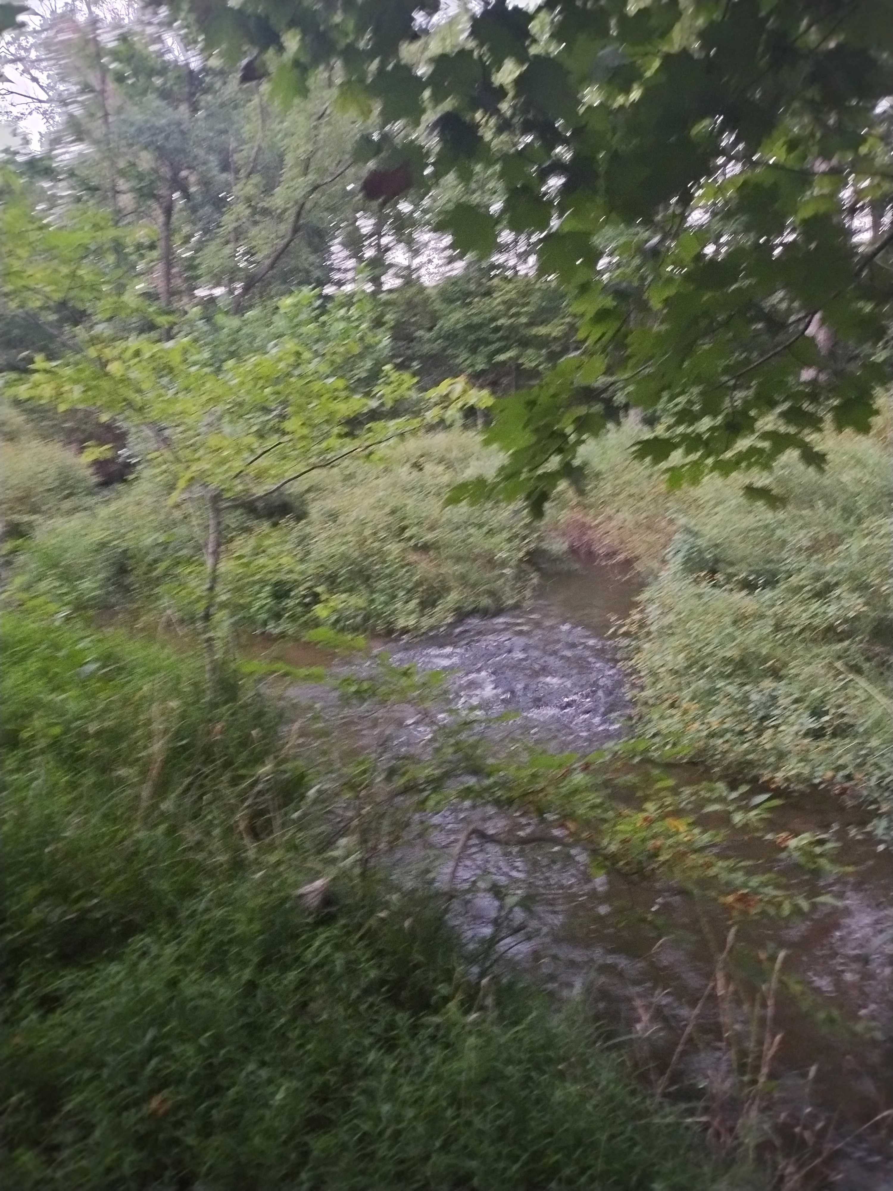 The Creekside at Goat Hill