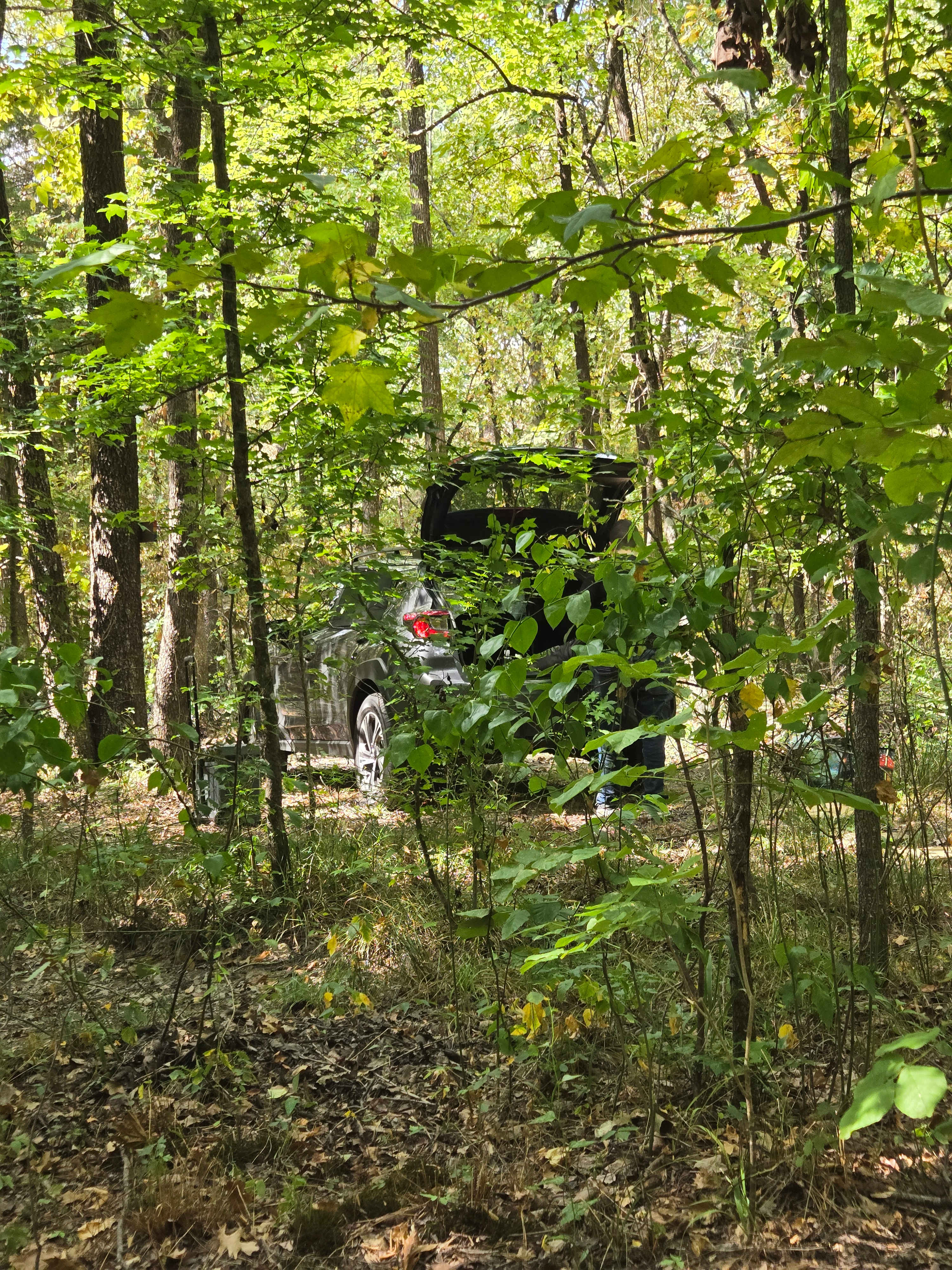 Ferngully Campground And Retreat