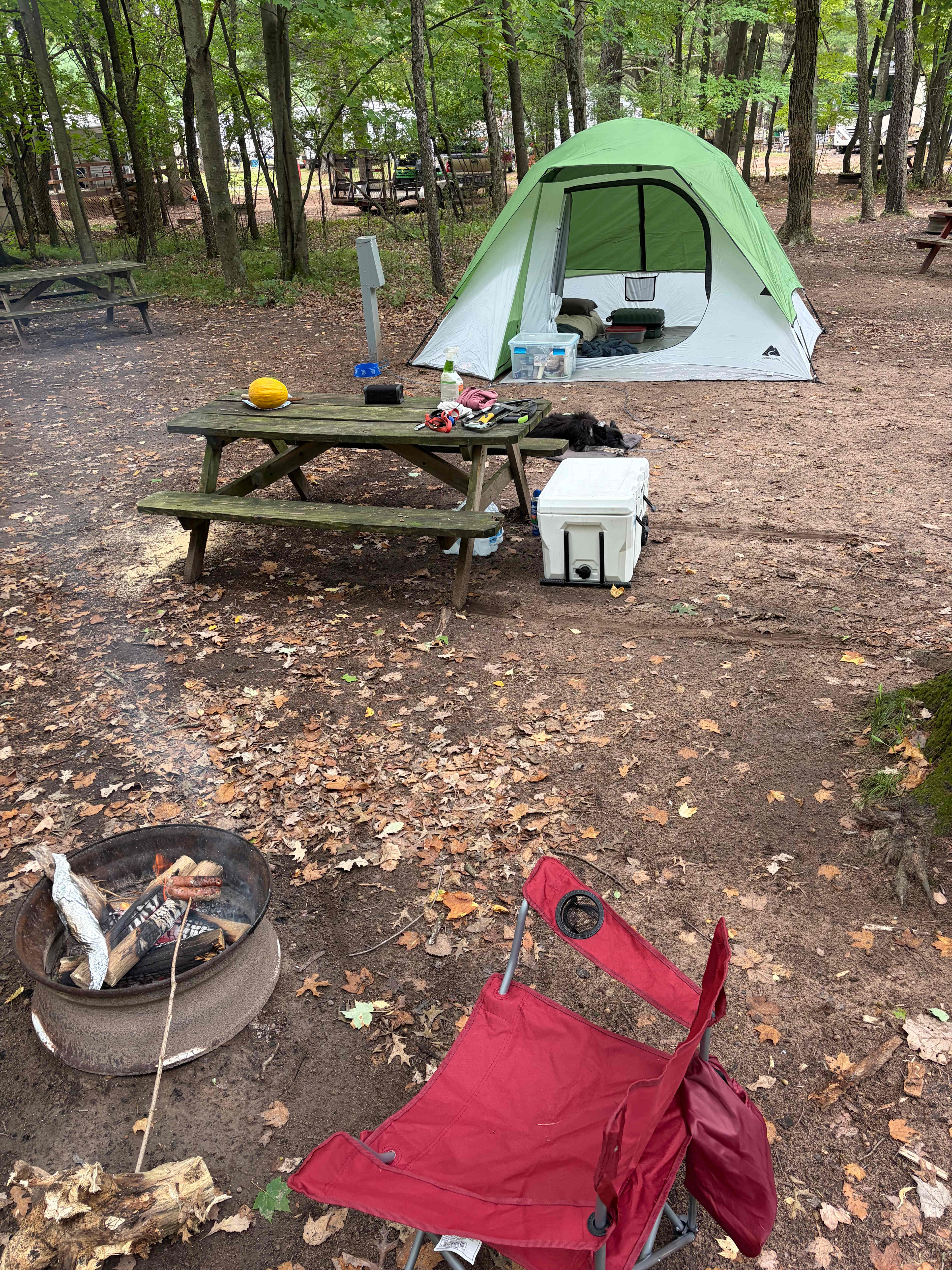 Pine Harbor Campground