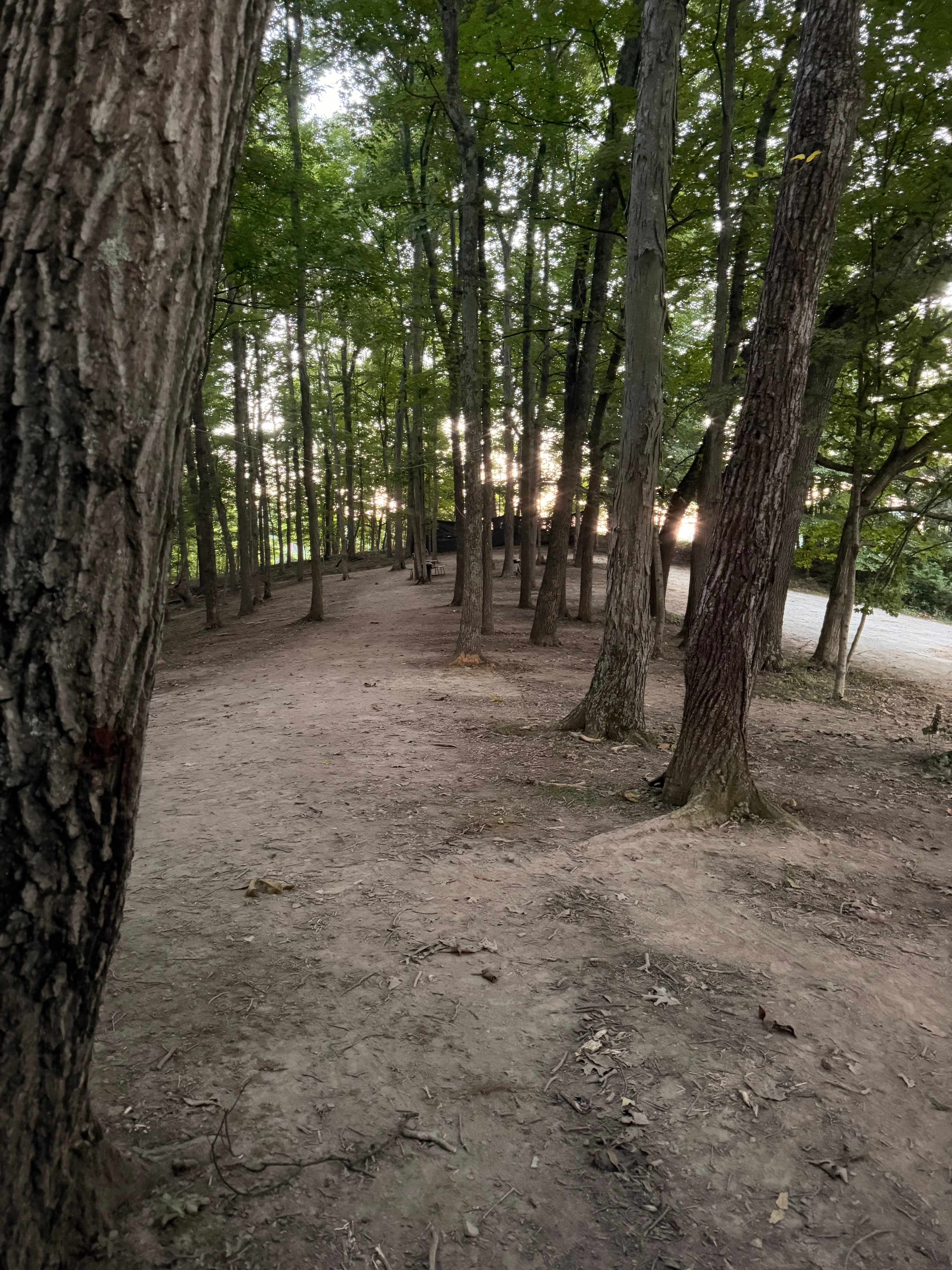 The other wooded camp site is past our and that is the trail view campsite