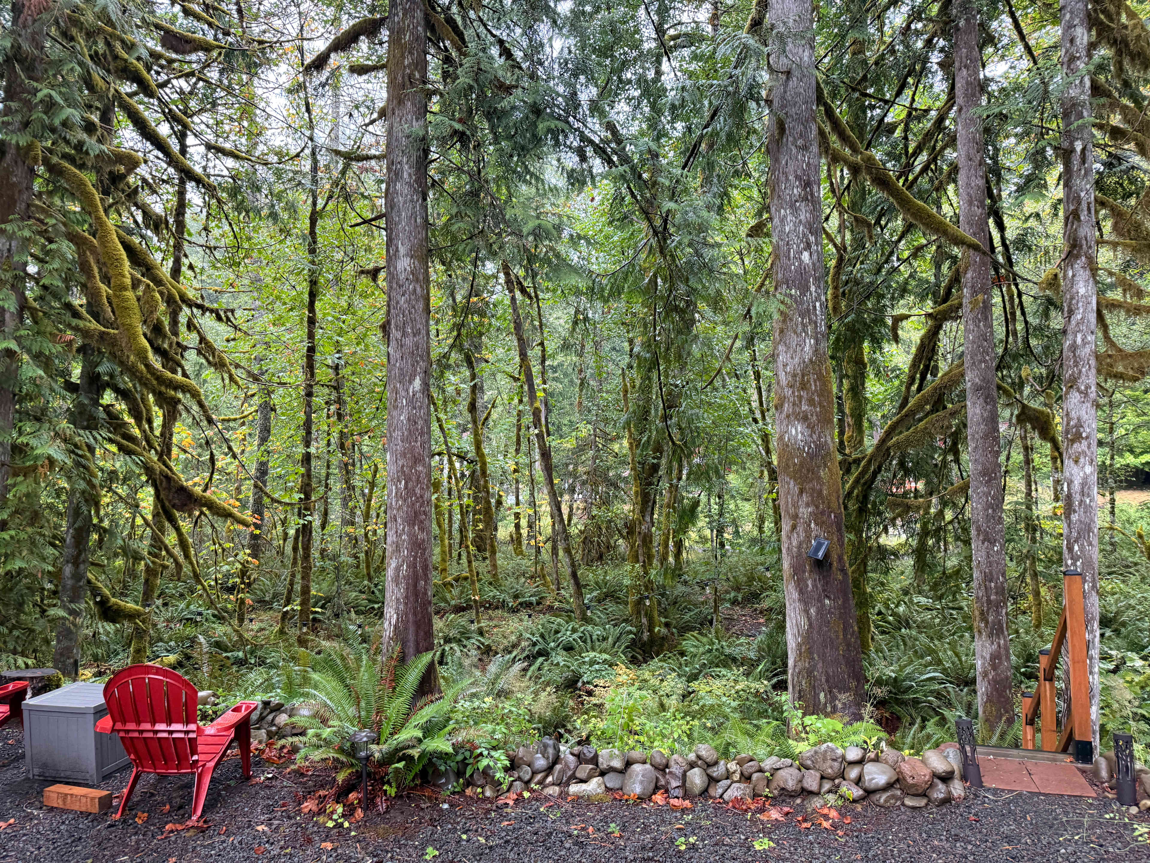 Salmon River Basecamp 🚐🌲
