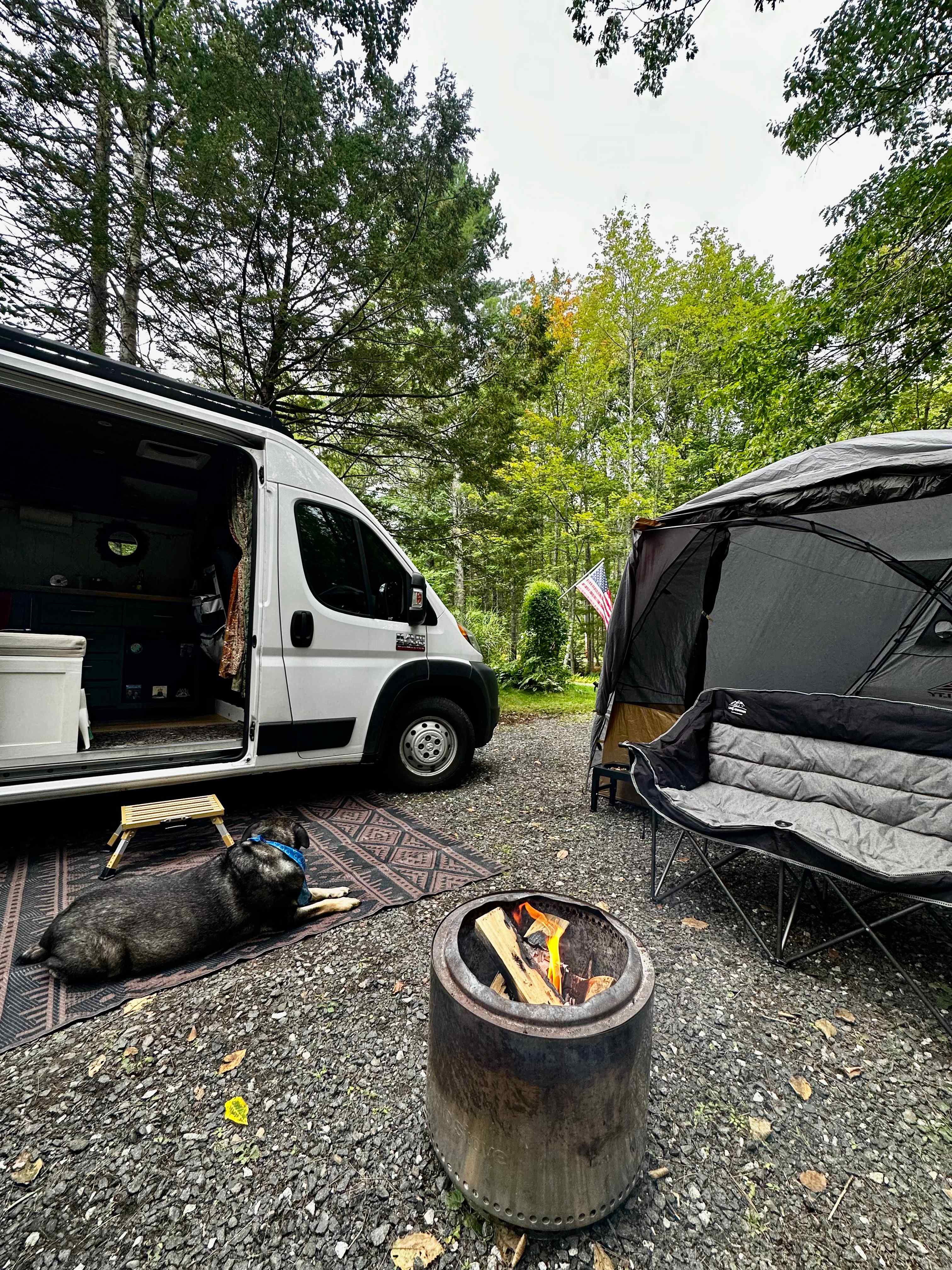 Petrichor Pines