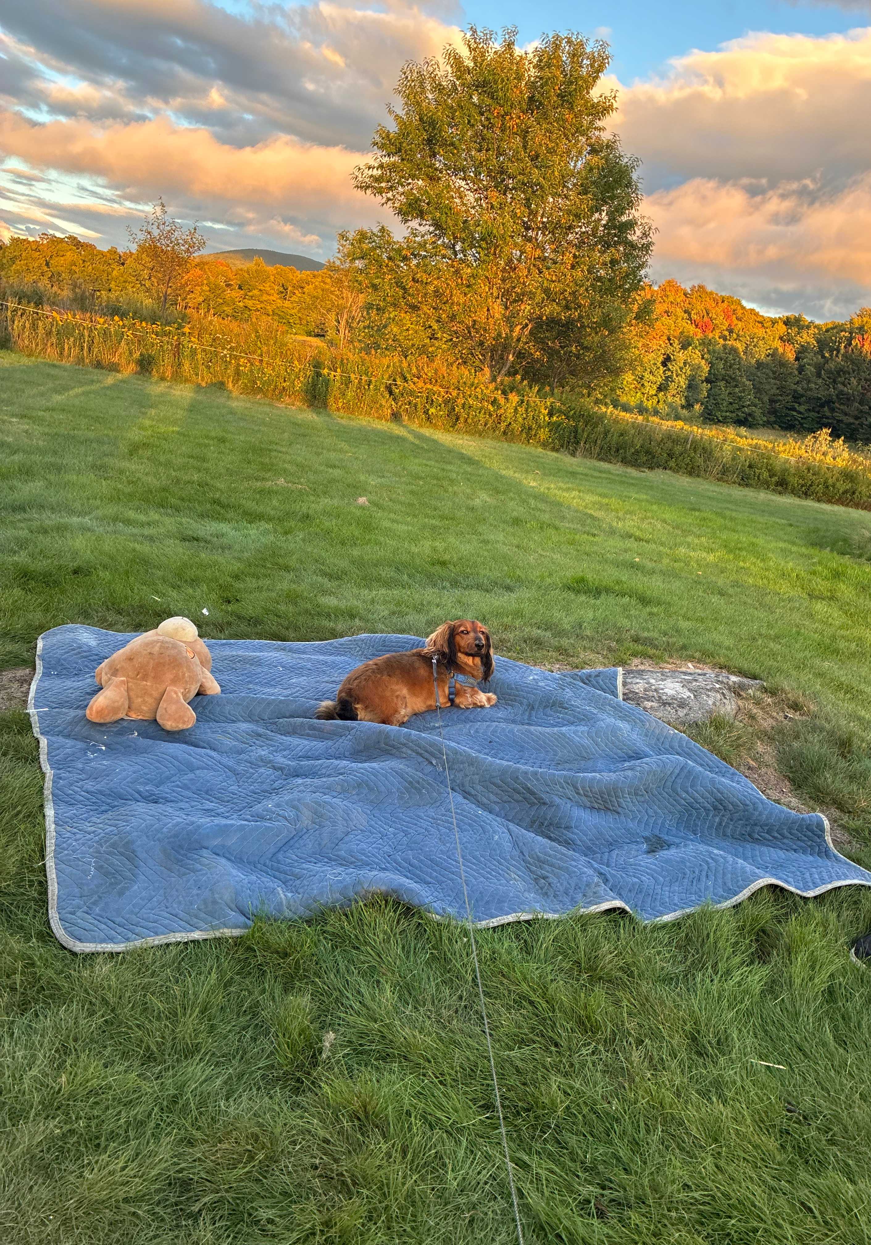 Grateful Acres Vermont