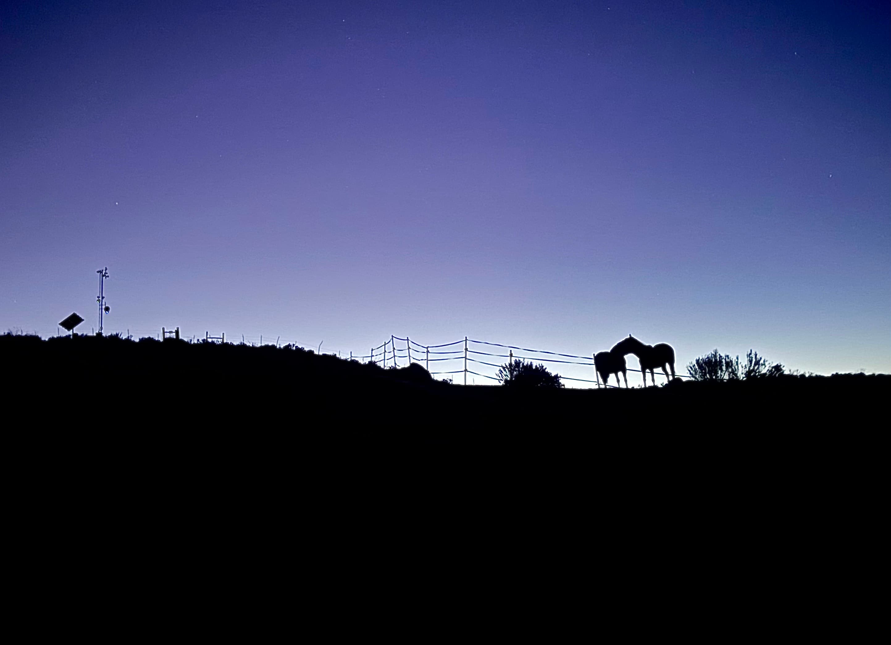 Double Triangle Ranch