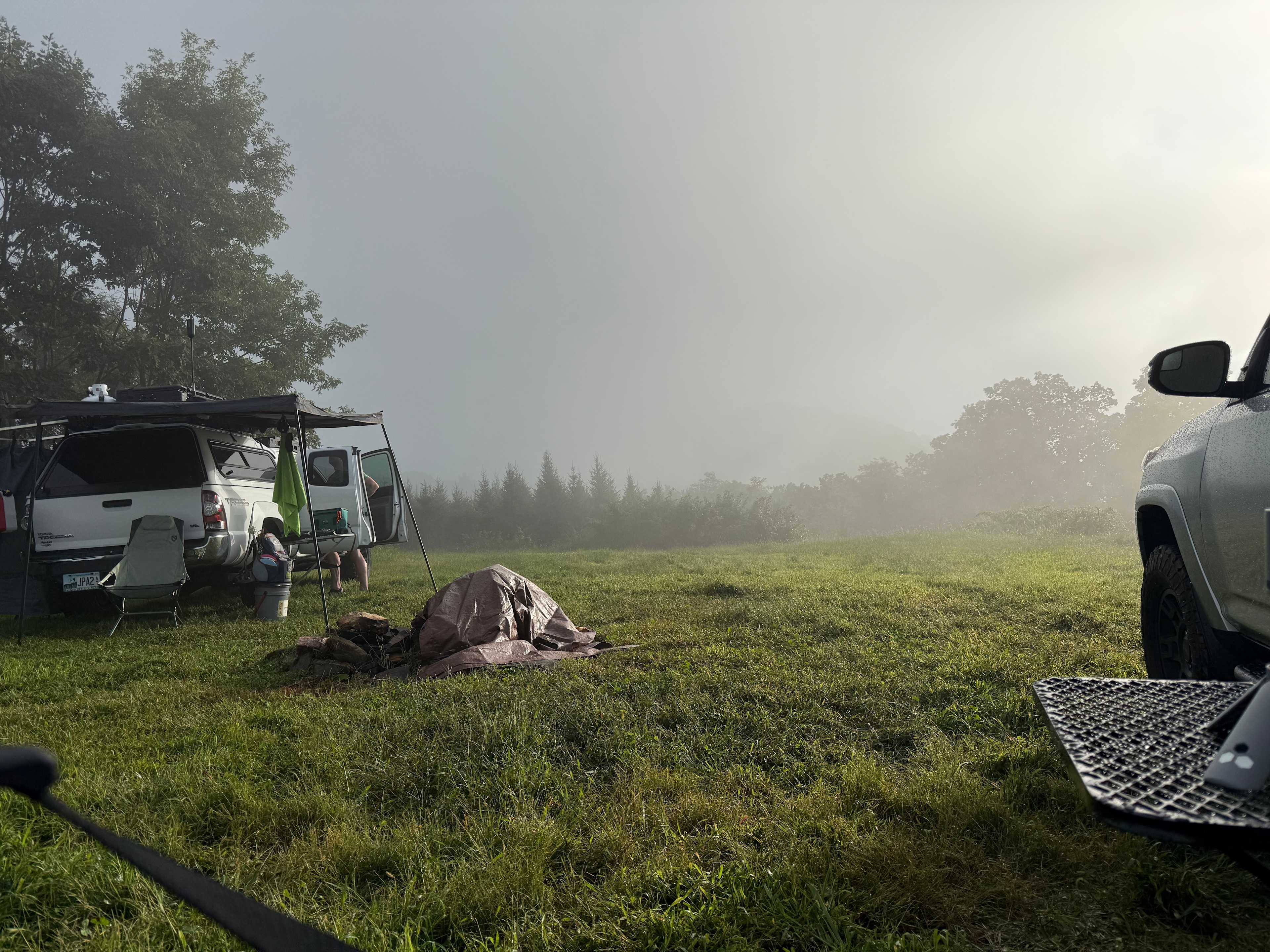 Misty morning
