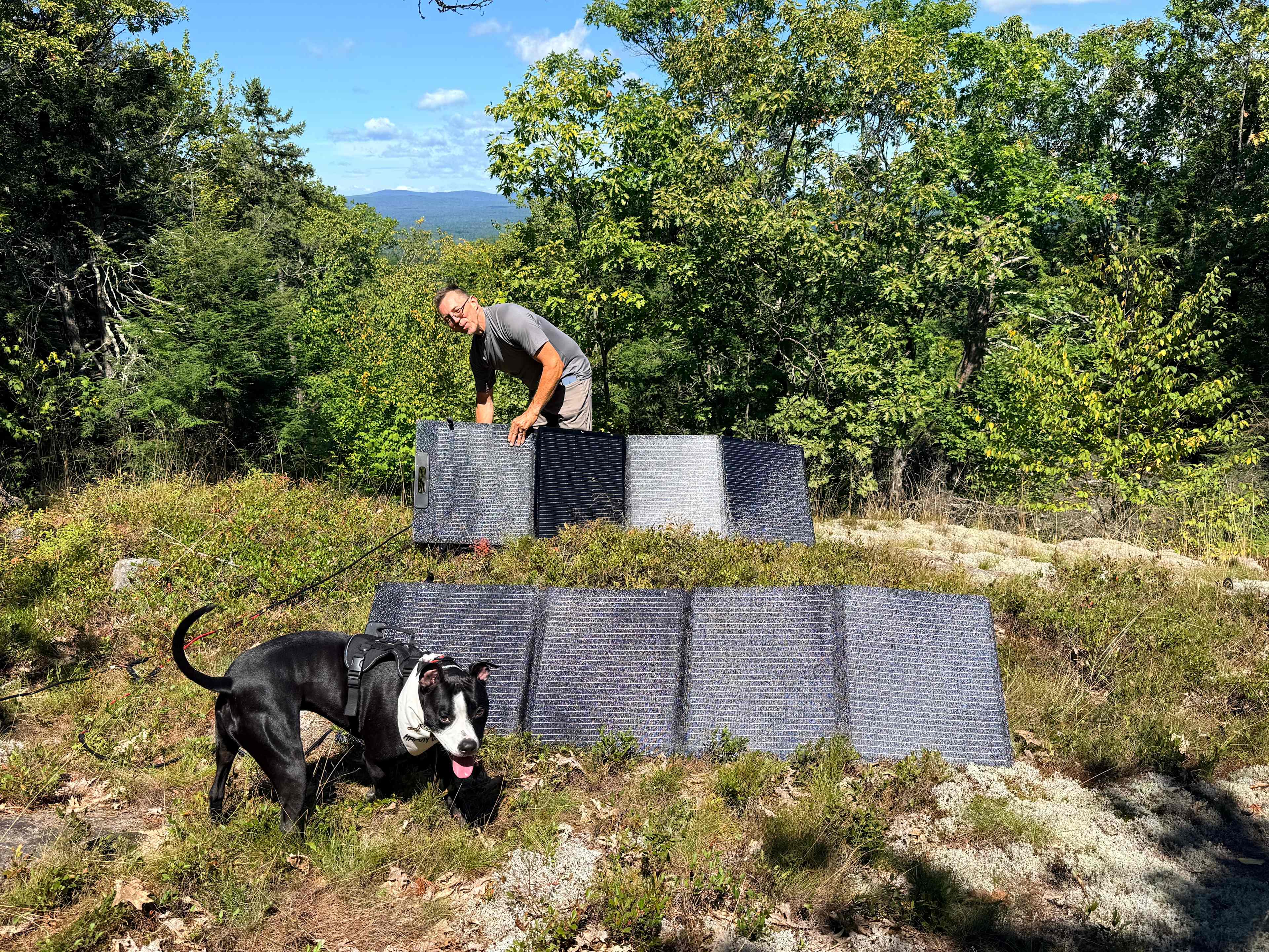 Clearing a short walk from campsite is perfect for solar charging 