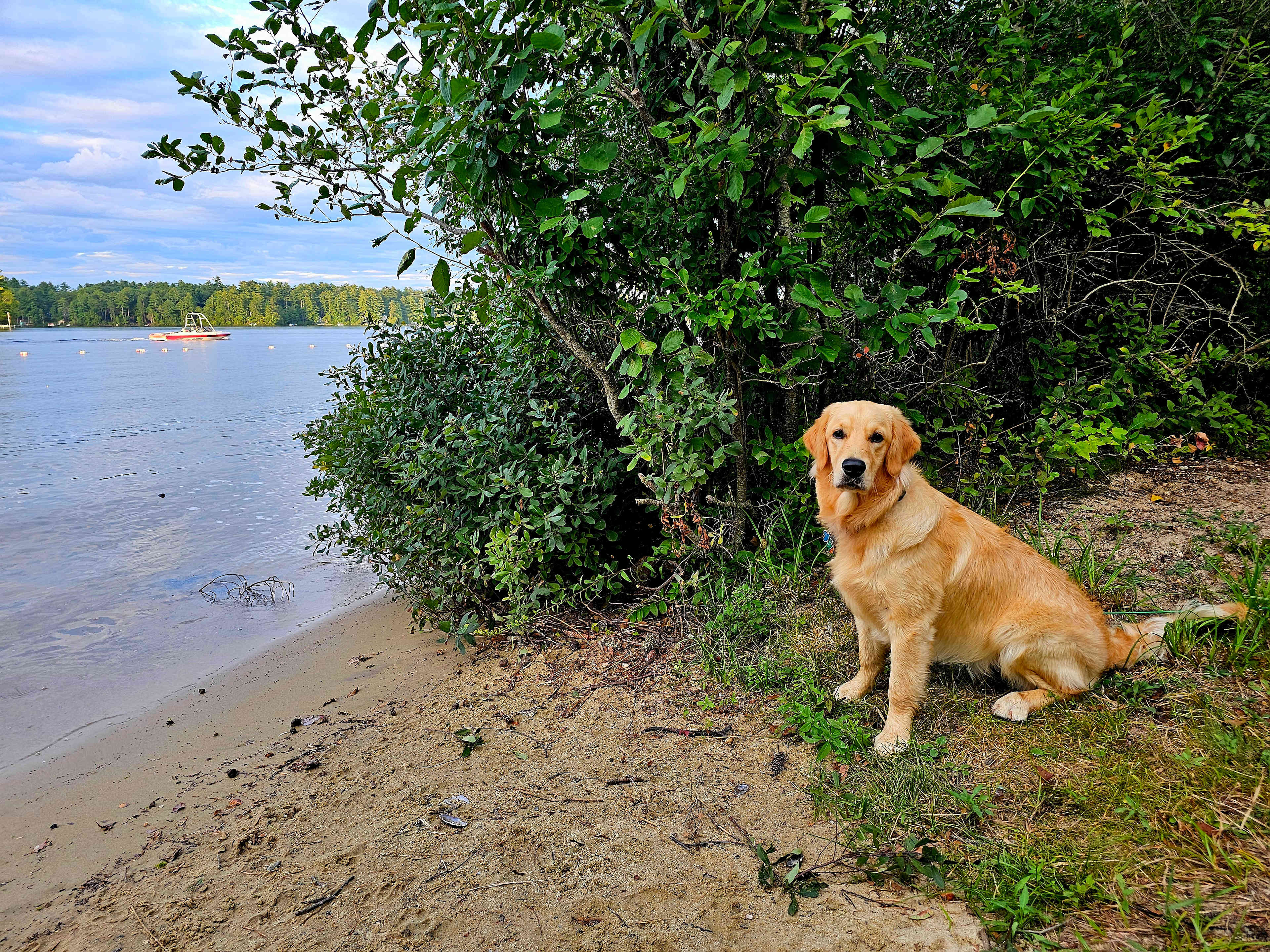 Island View At Kiwanis Beach