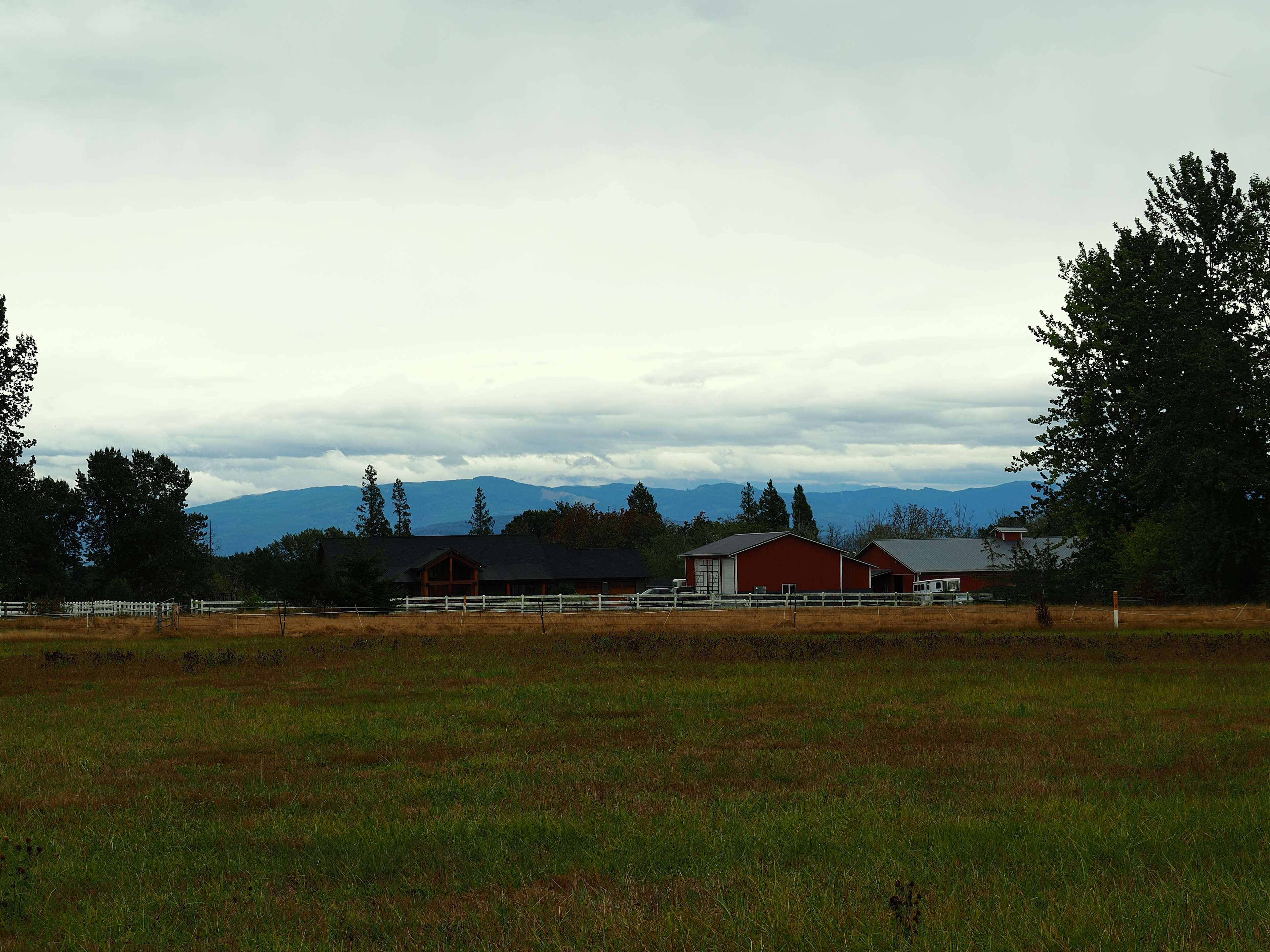 View from site 