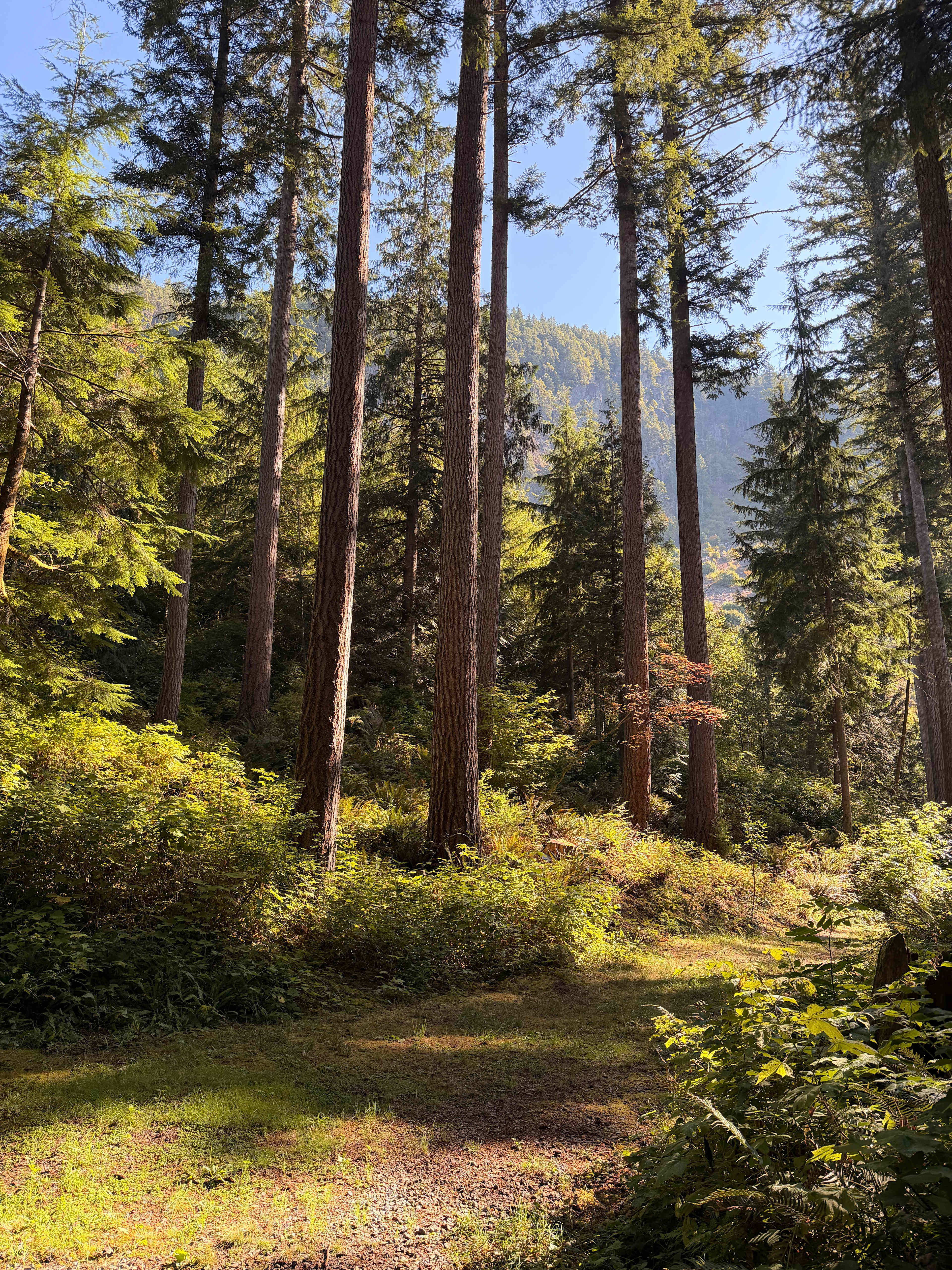 Wandering the gorgeous trails