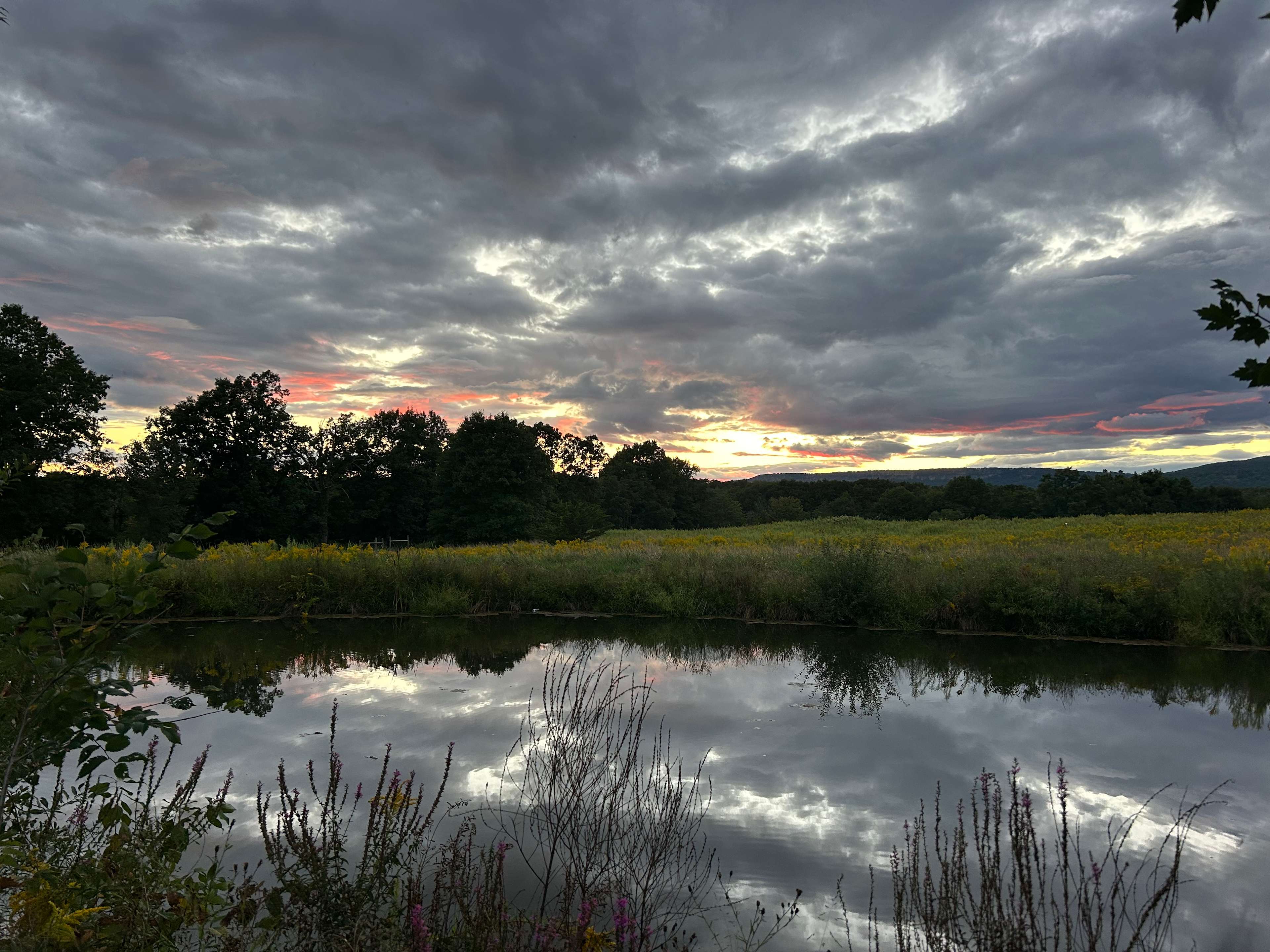 View from the camp site 