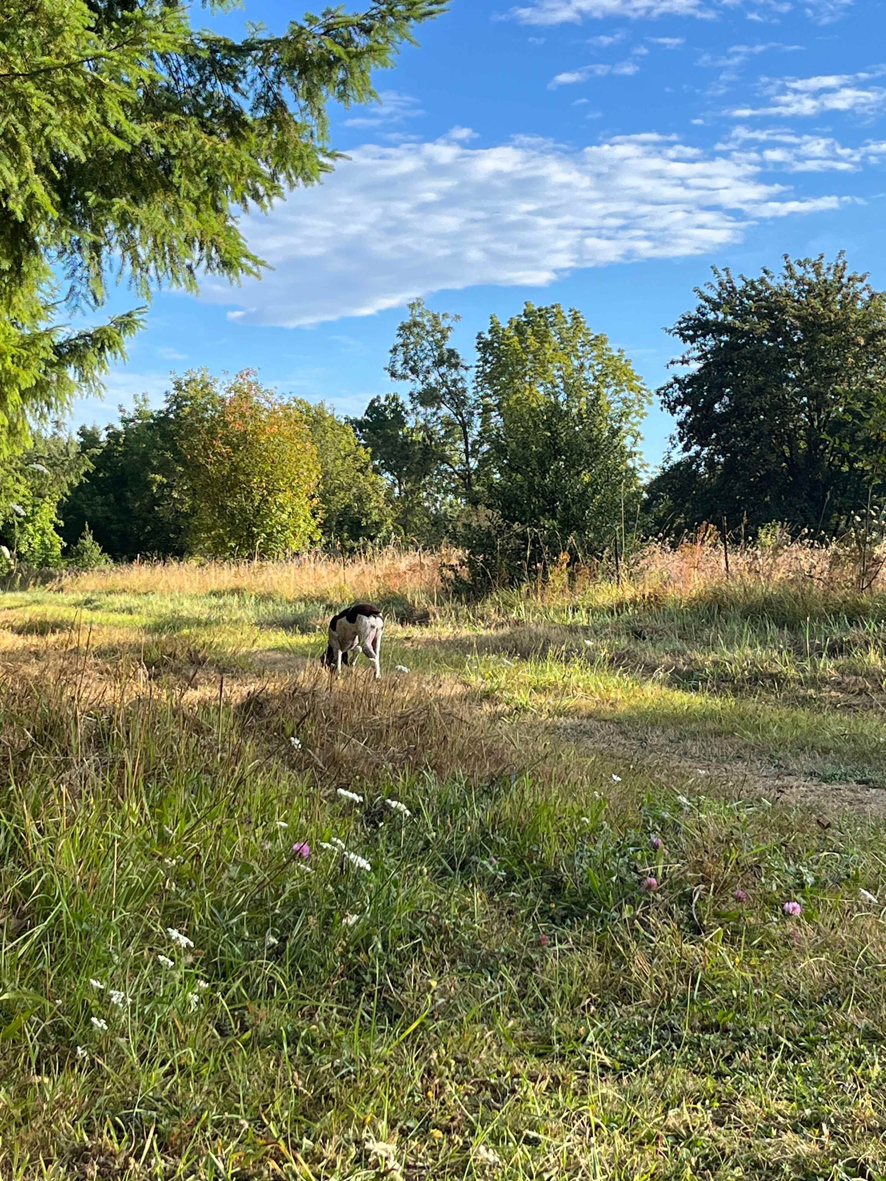 Onalaska Sanctuary