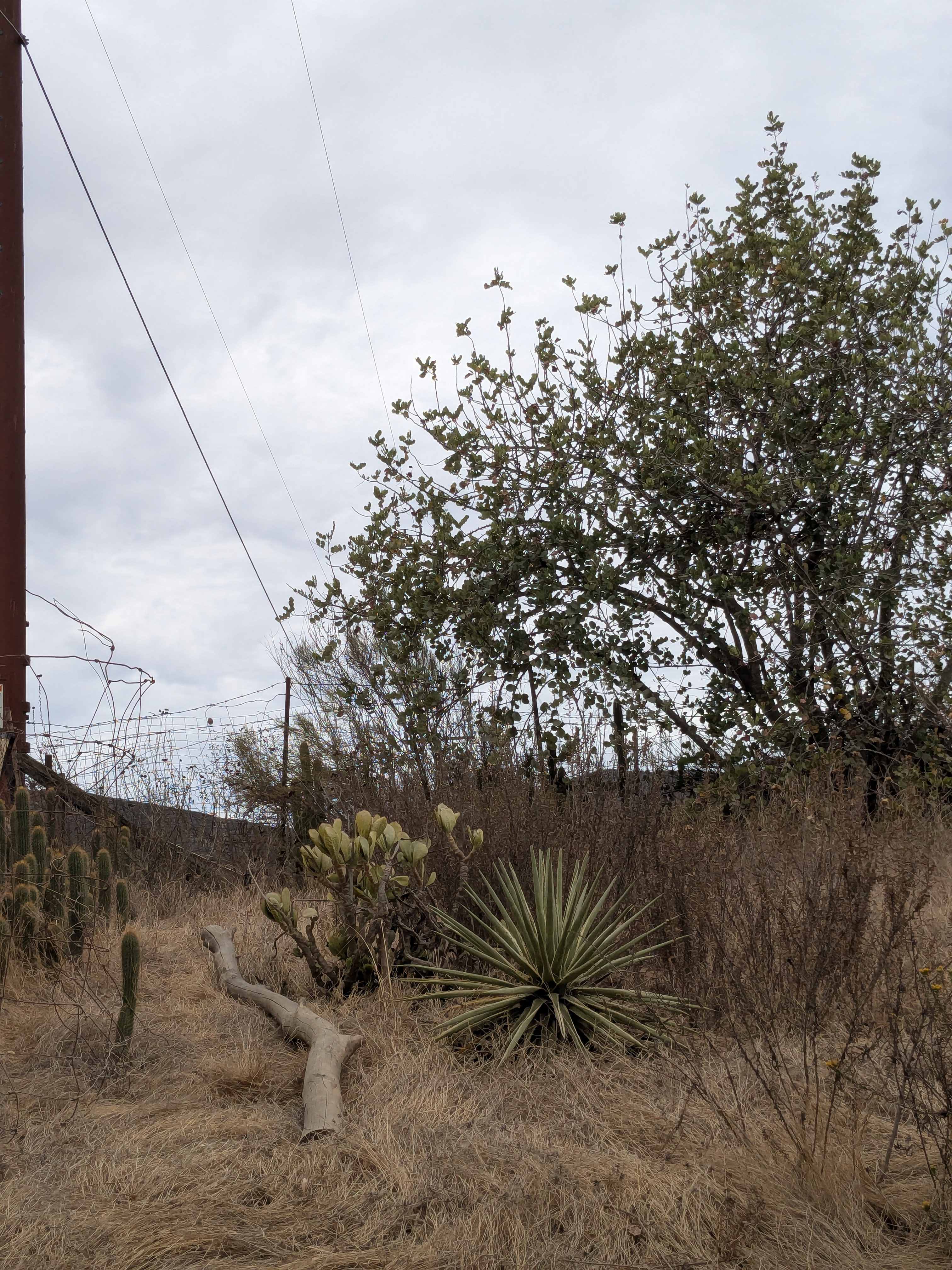 Wild Seeds Ranch