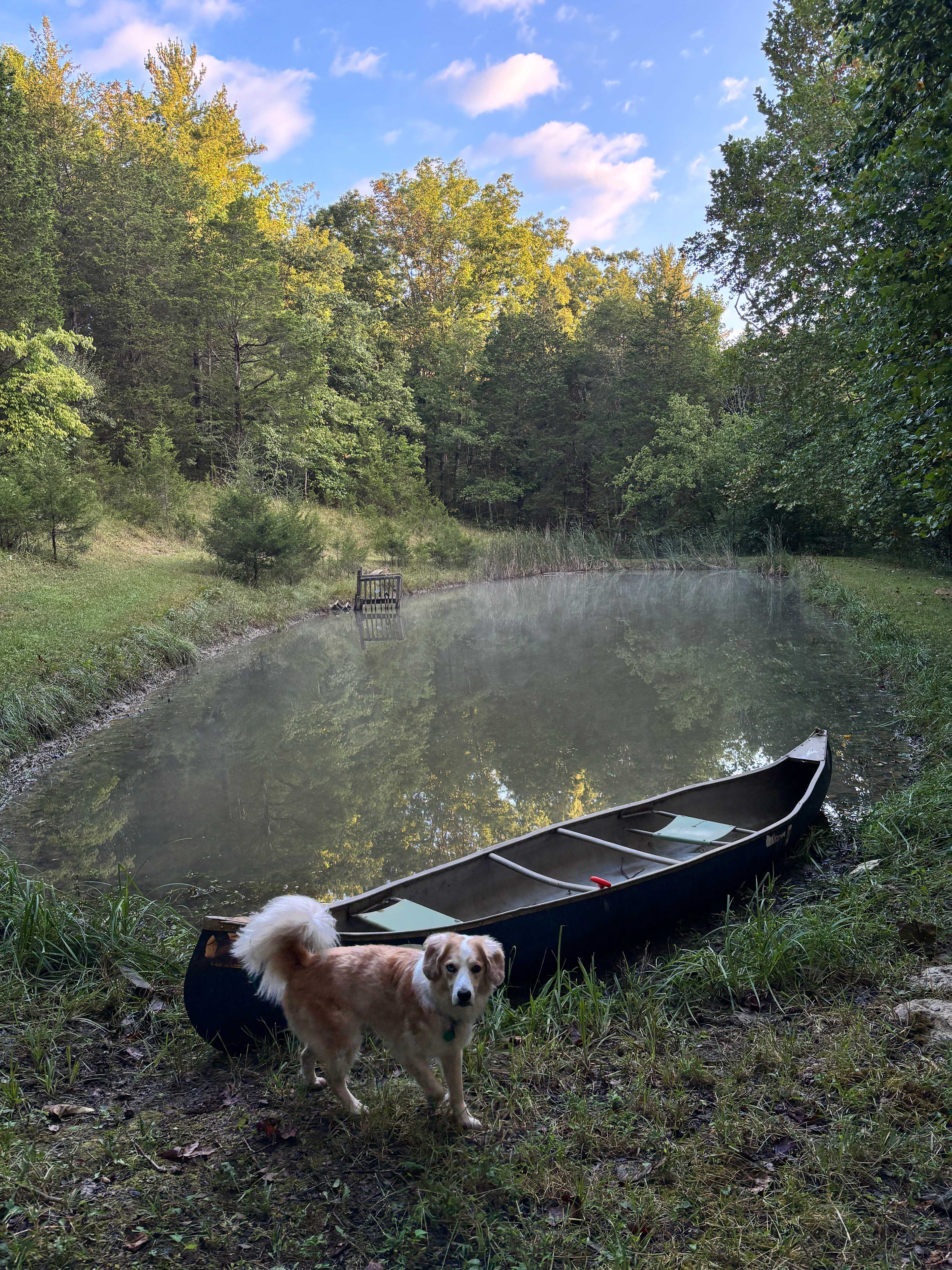 Bear Pond