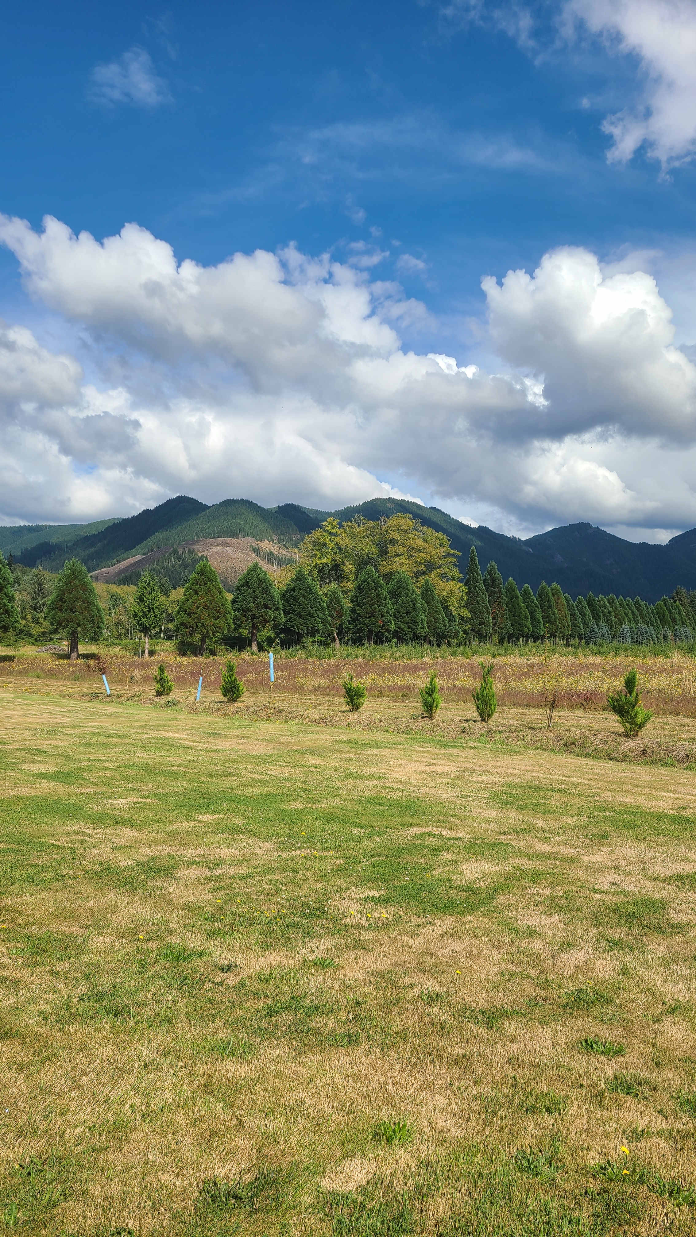 The Arboretum at Bear Canyon West