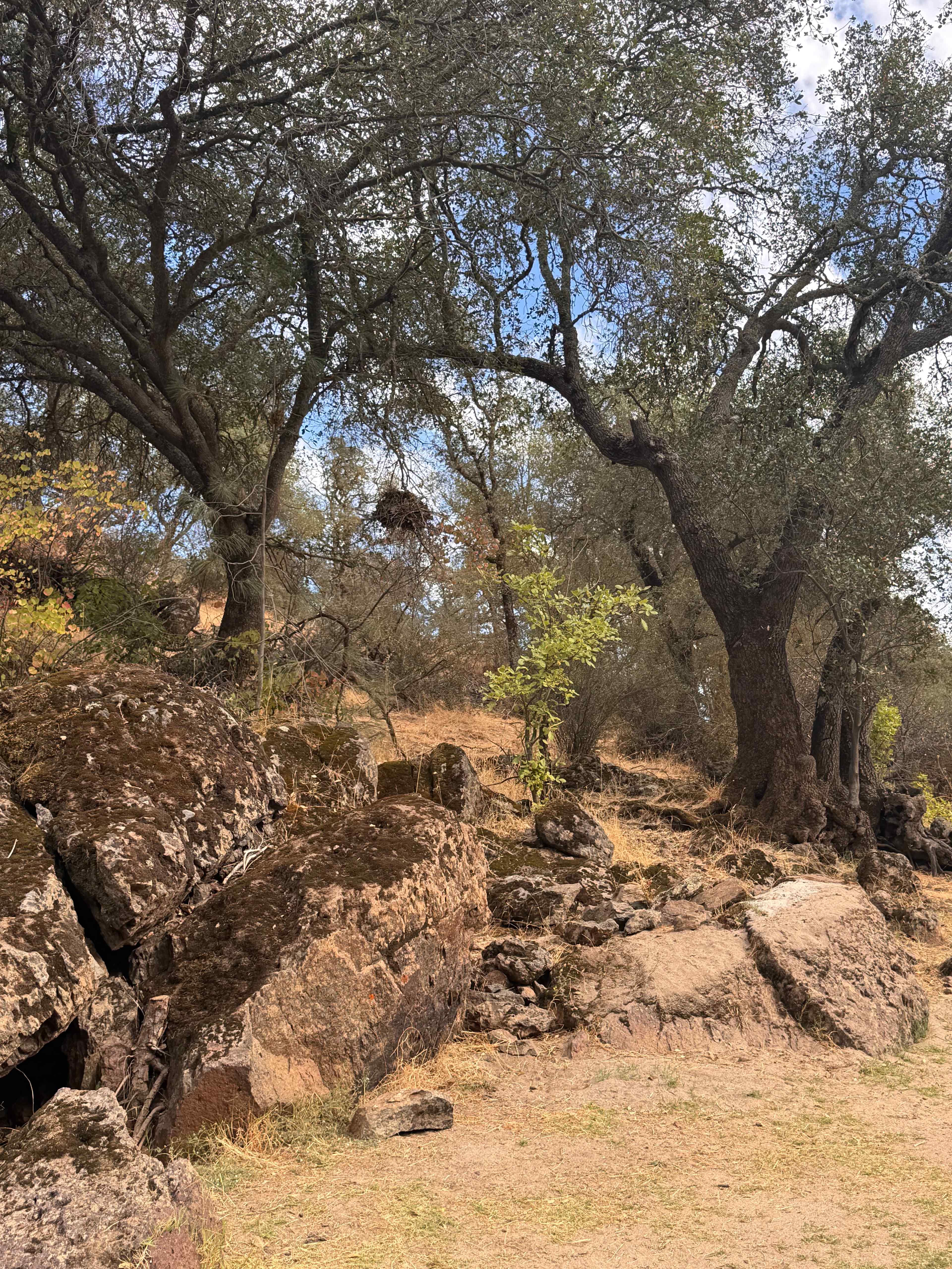 Cosumnes River Ranch