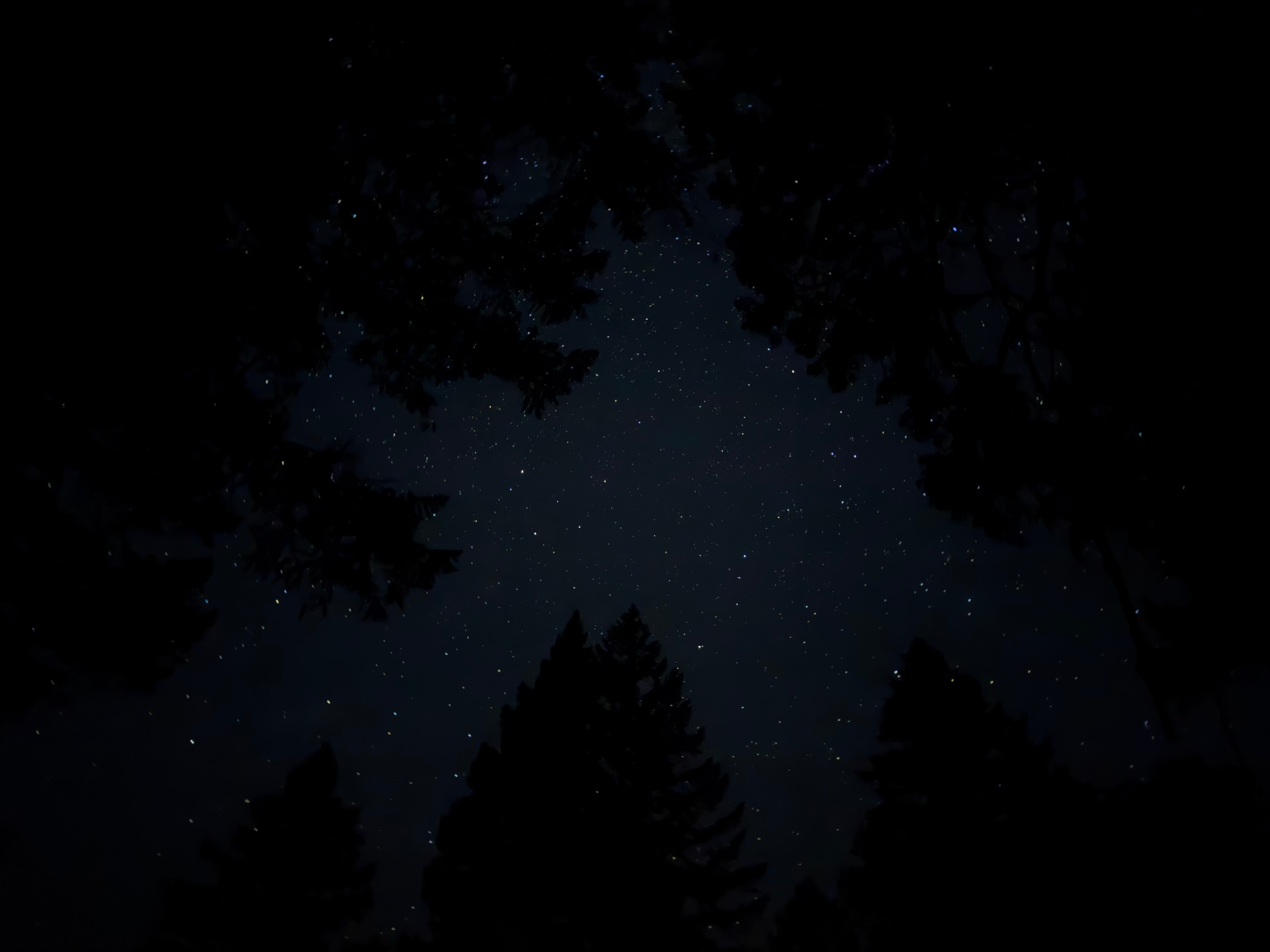 Stars 