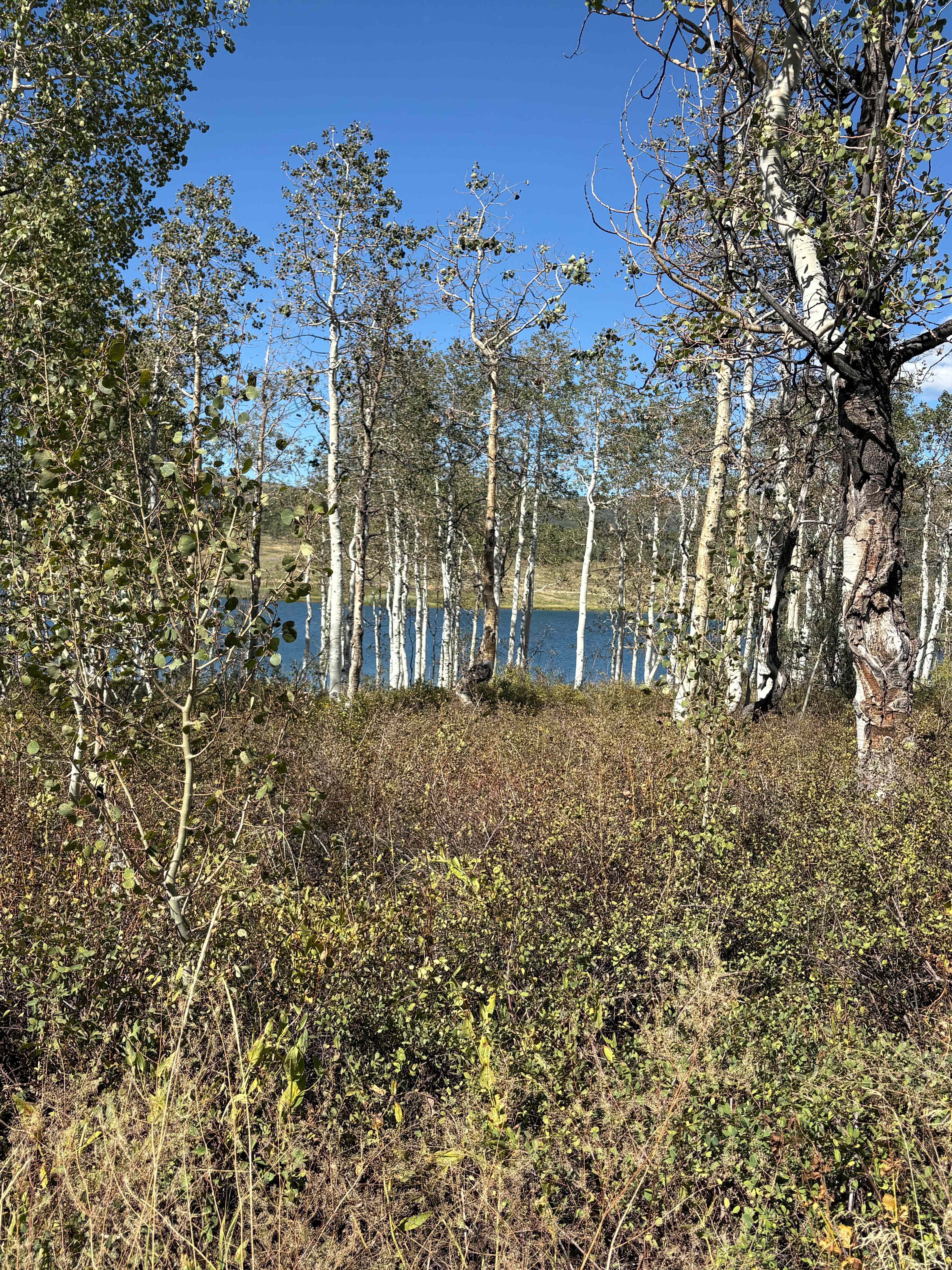 Kolob Campground