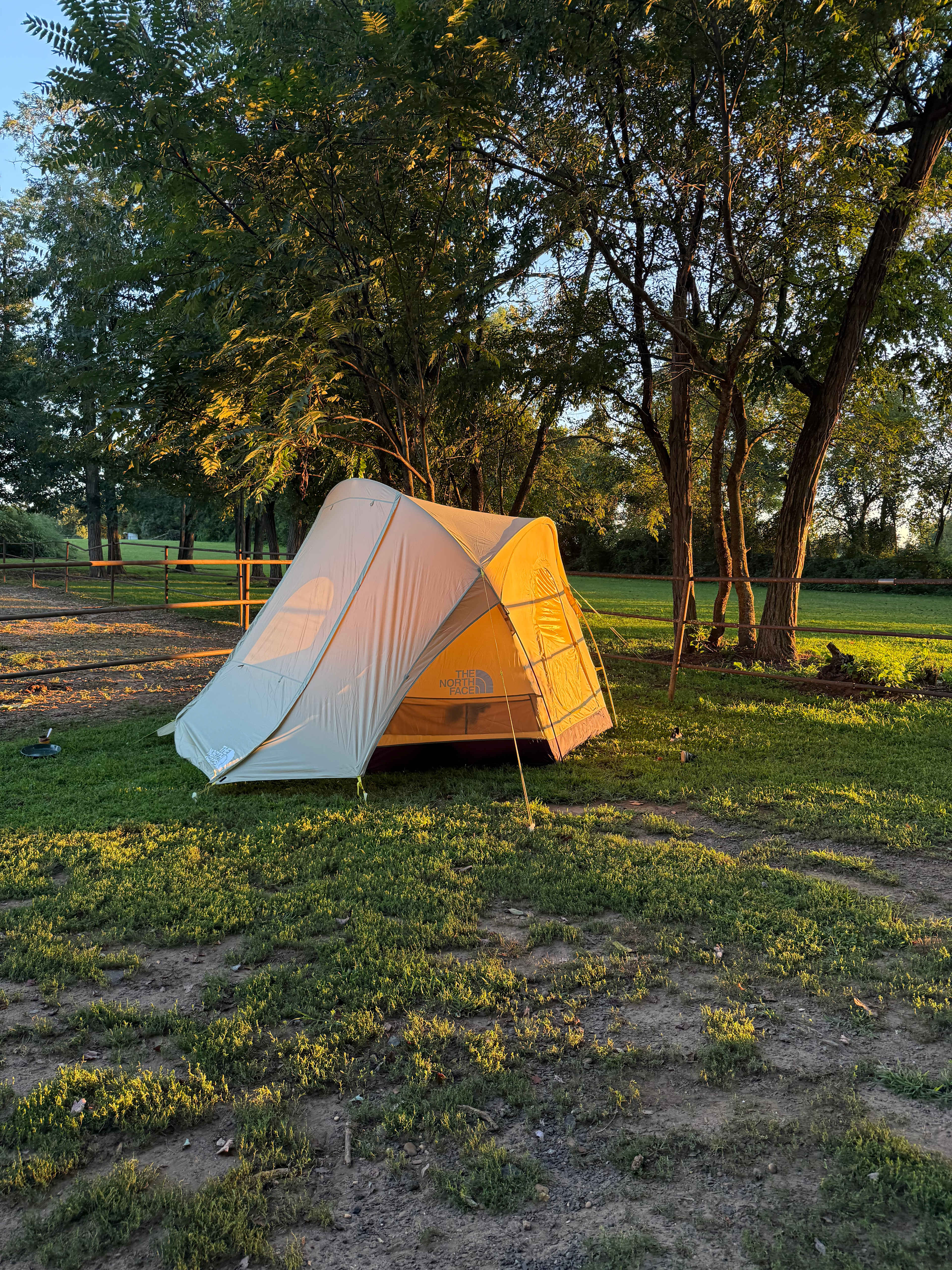 6-person tent