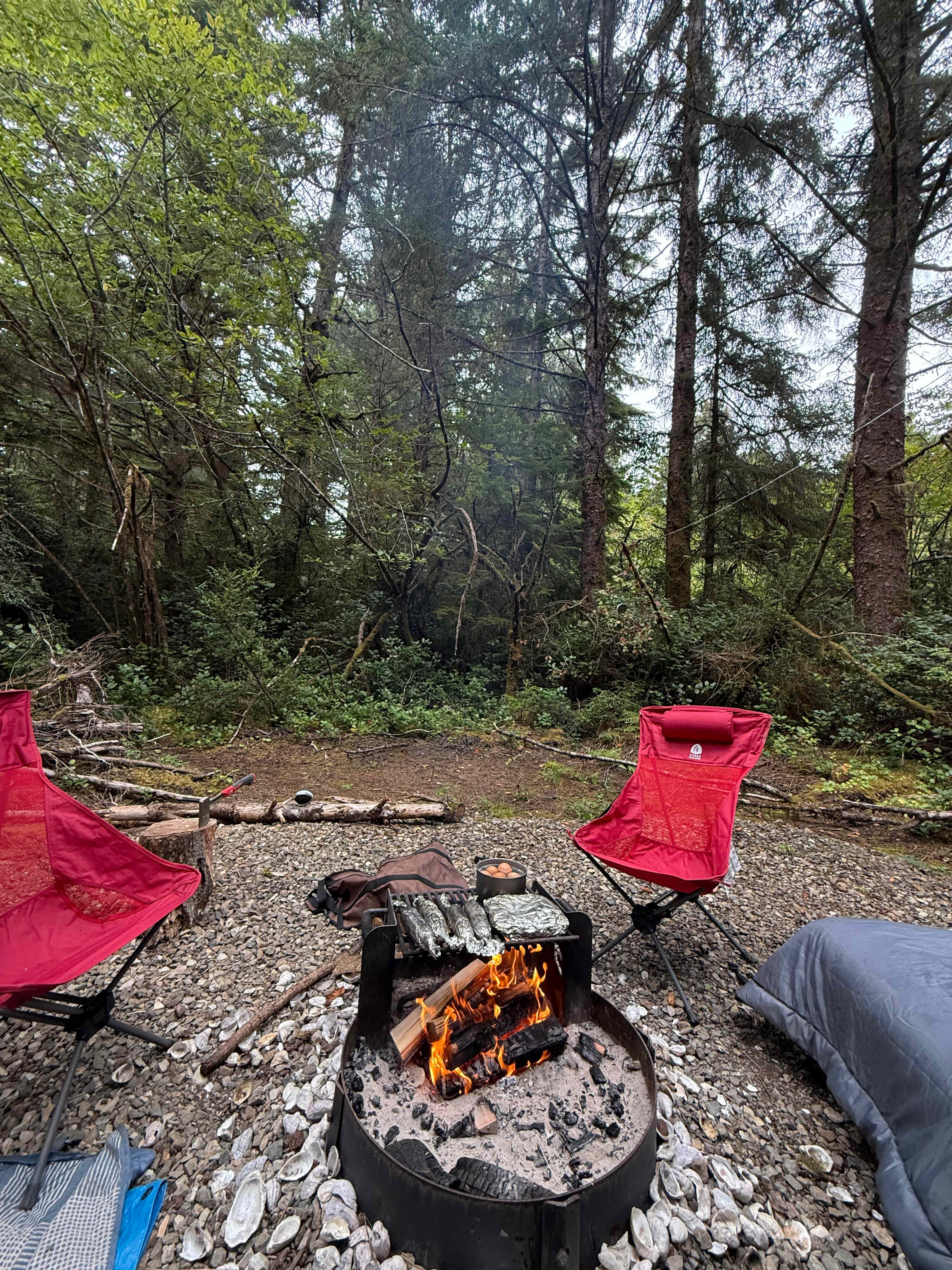 Twisted Tree Camp