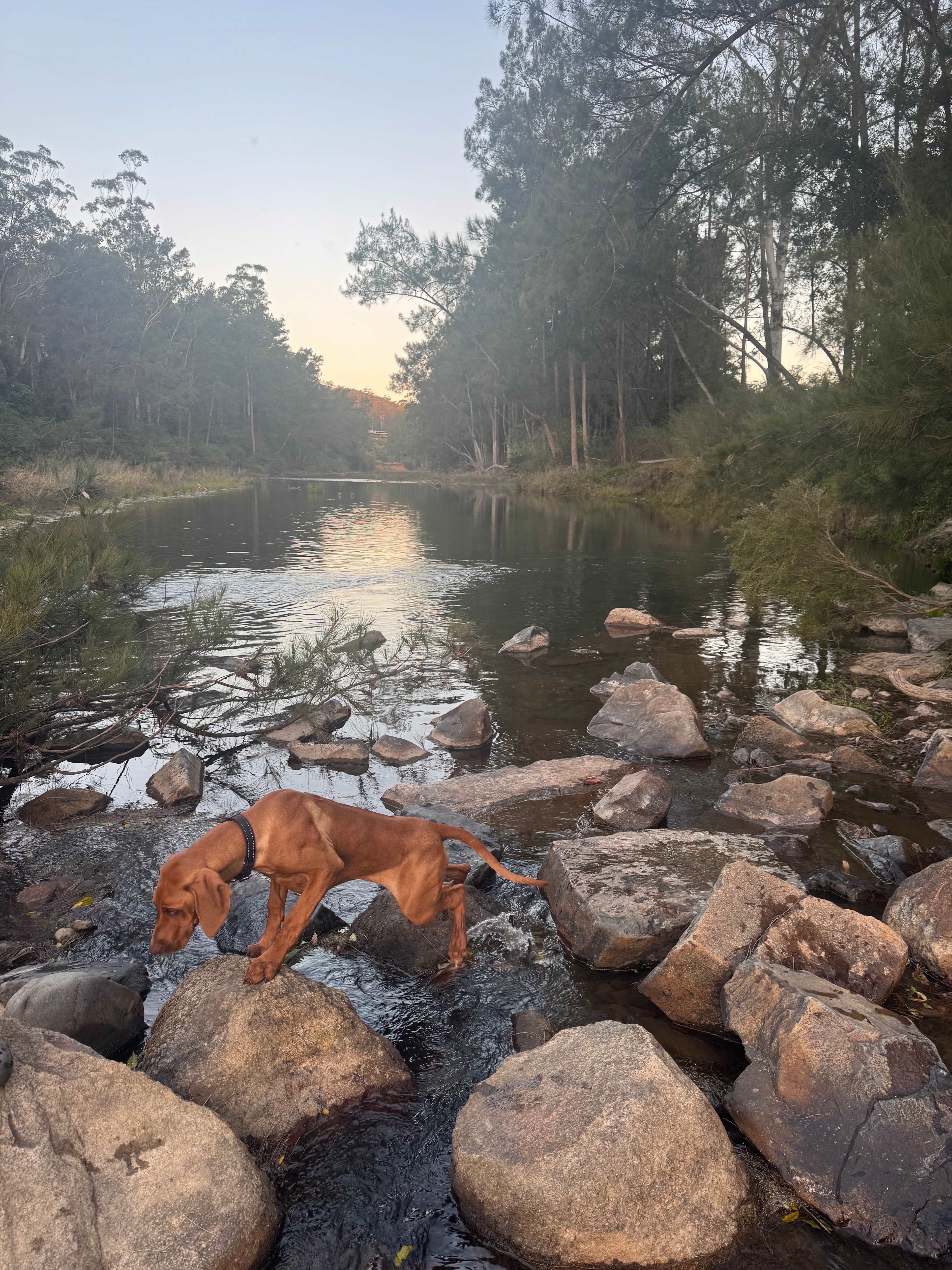 Bundilla River Camp
