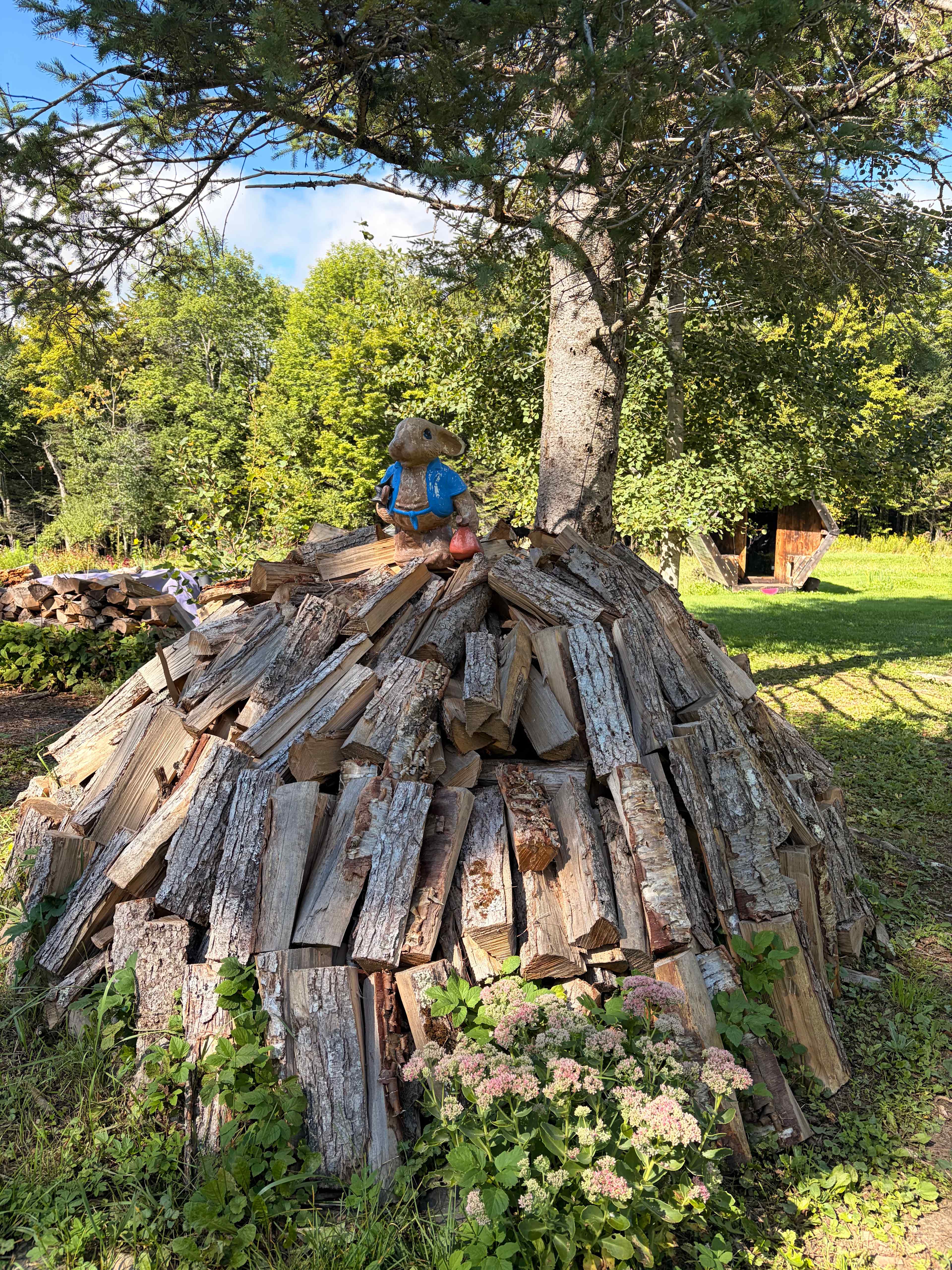 Cute wood pile 