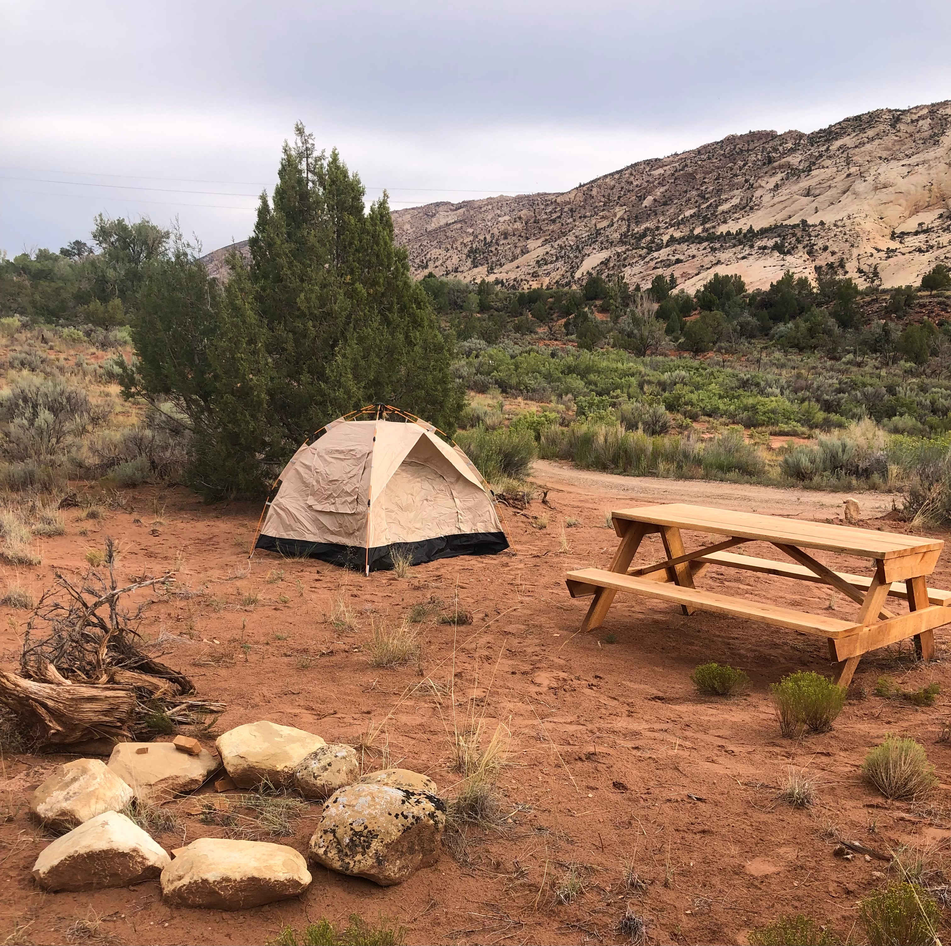 ON THE RED ROCKS IN ESCALANTE