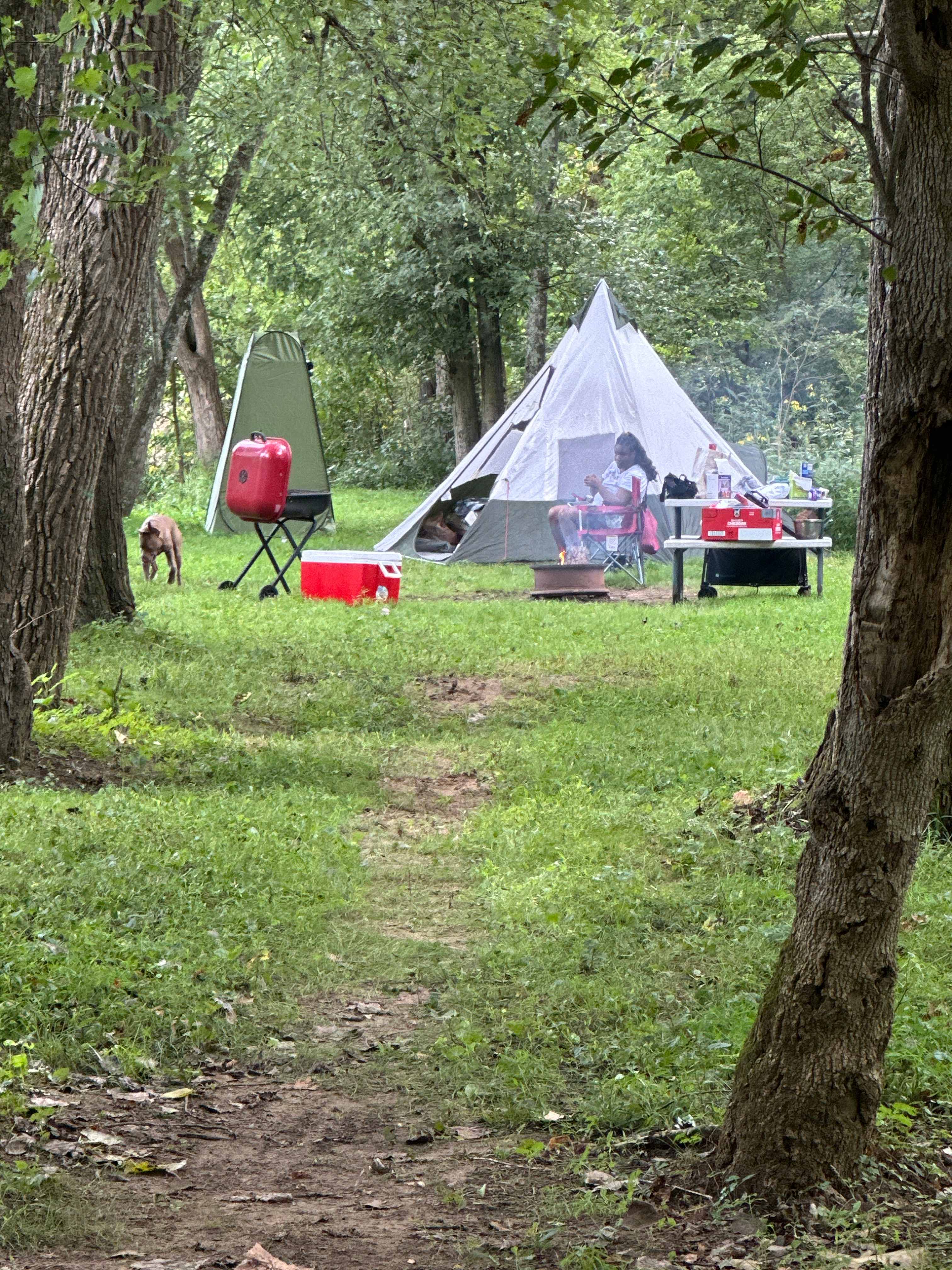 Camp set up