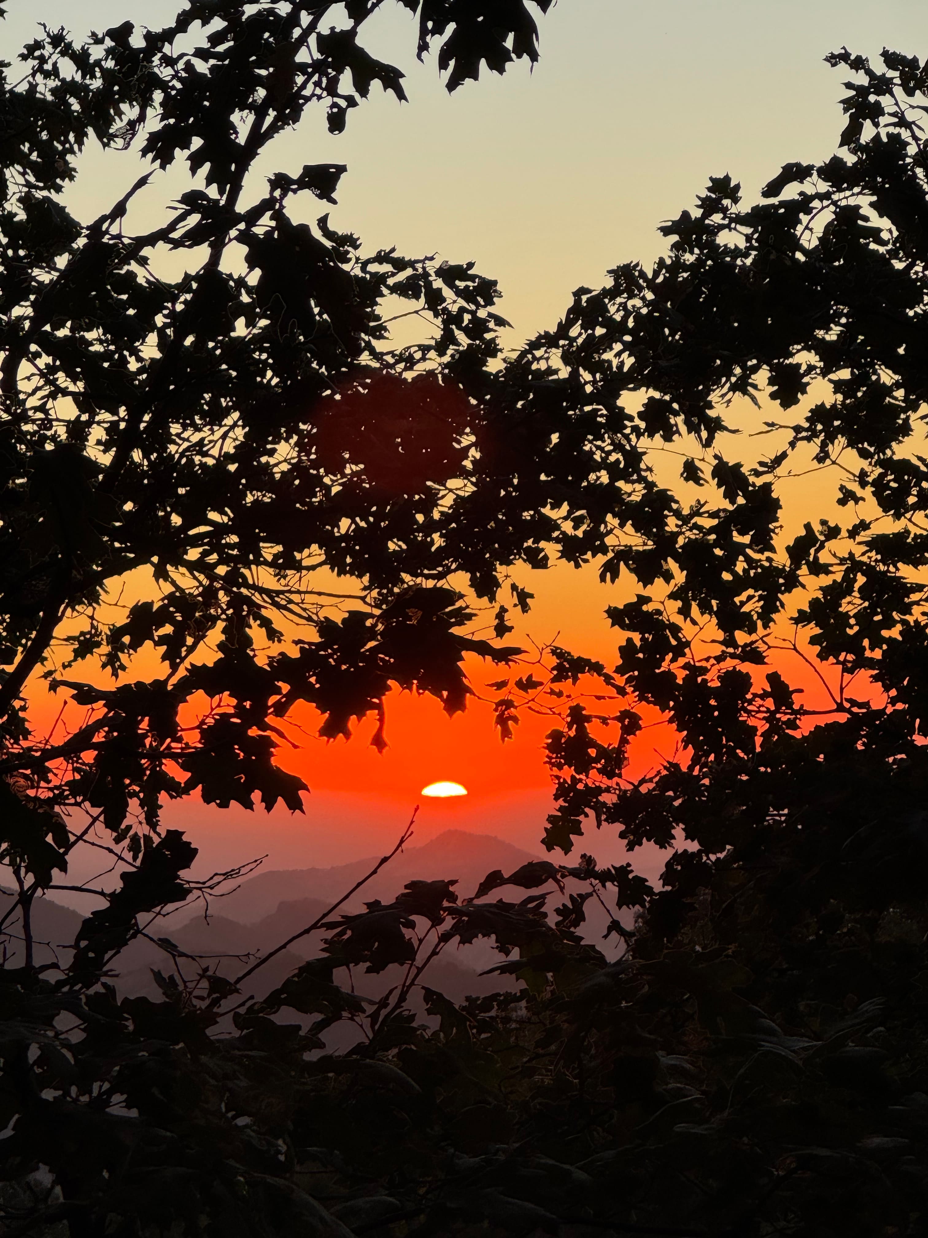 Sunset at the hammocks 