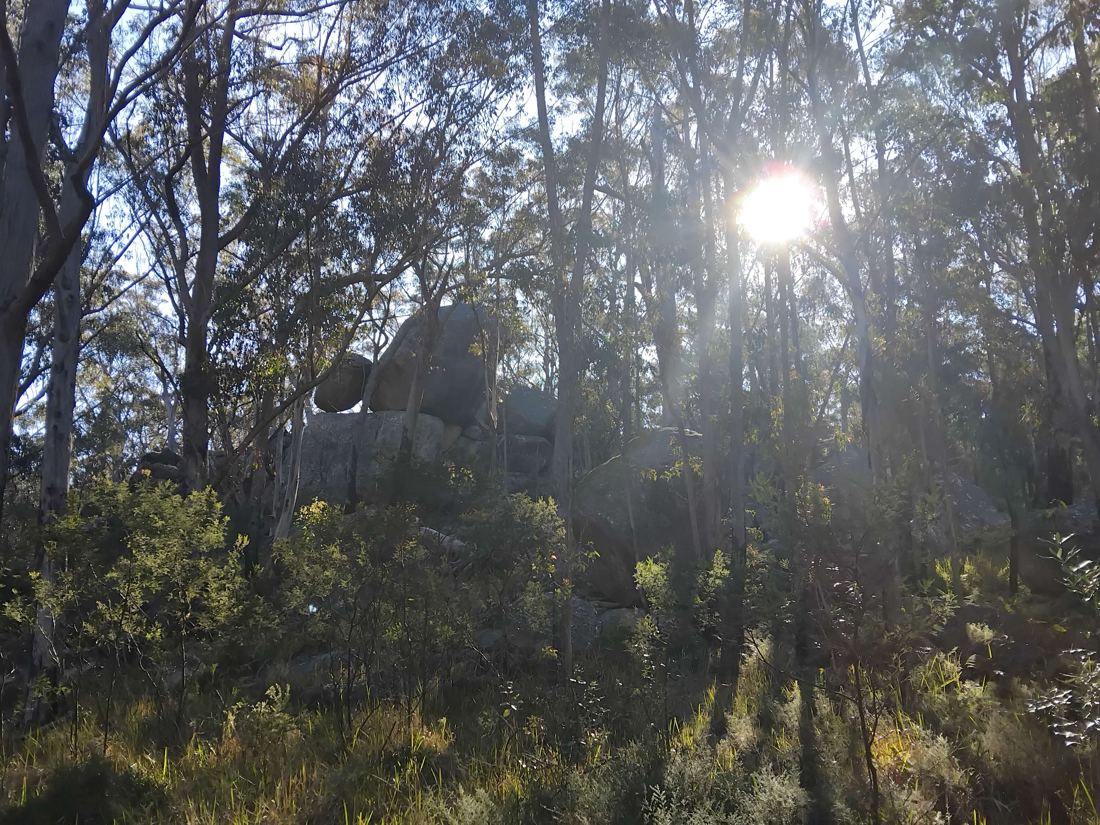 Bald Rock Station