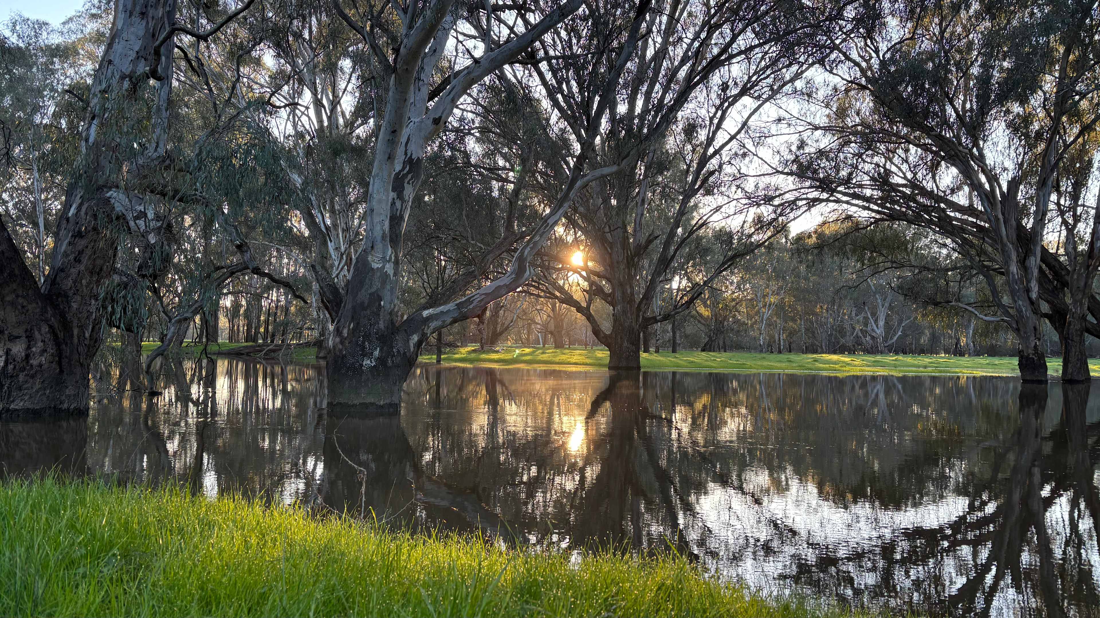 Billabong Flats Farm