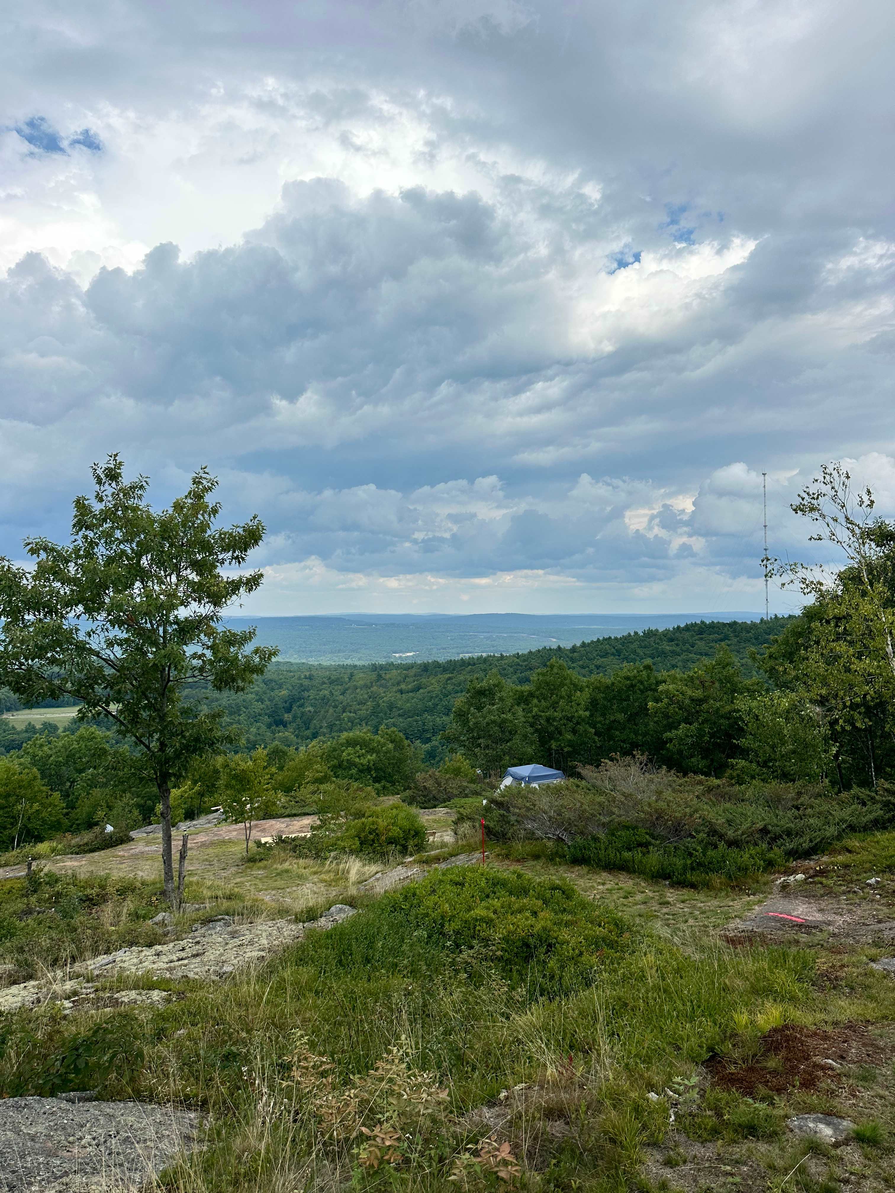 Hussey Mountain Tree Farm
