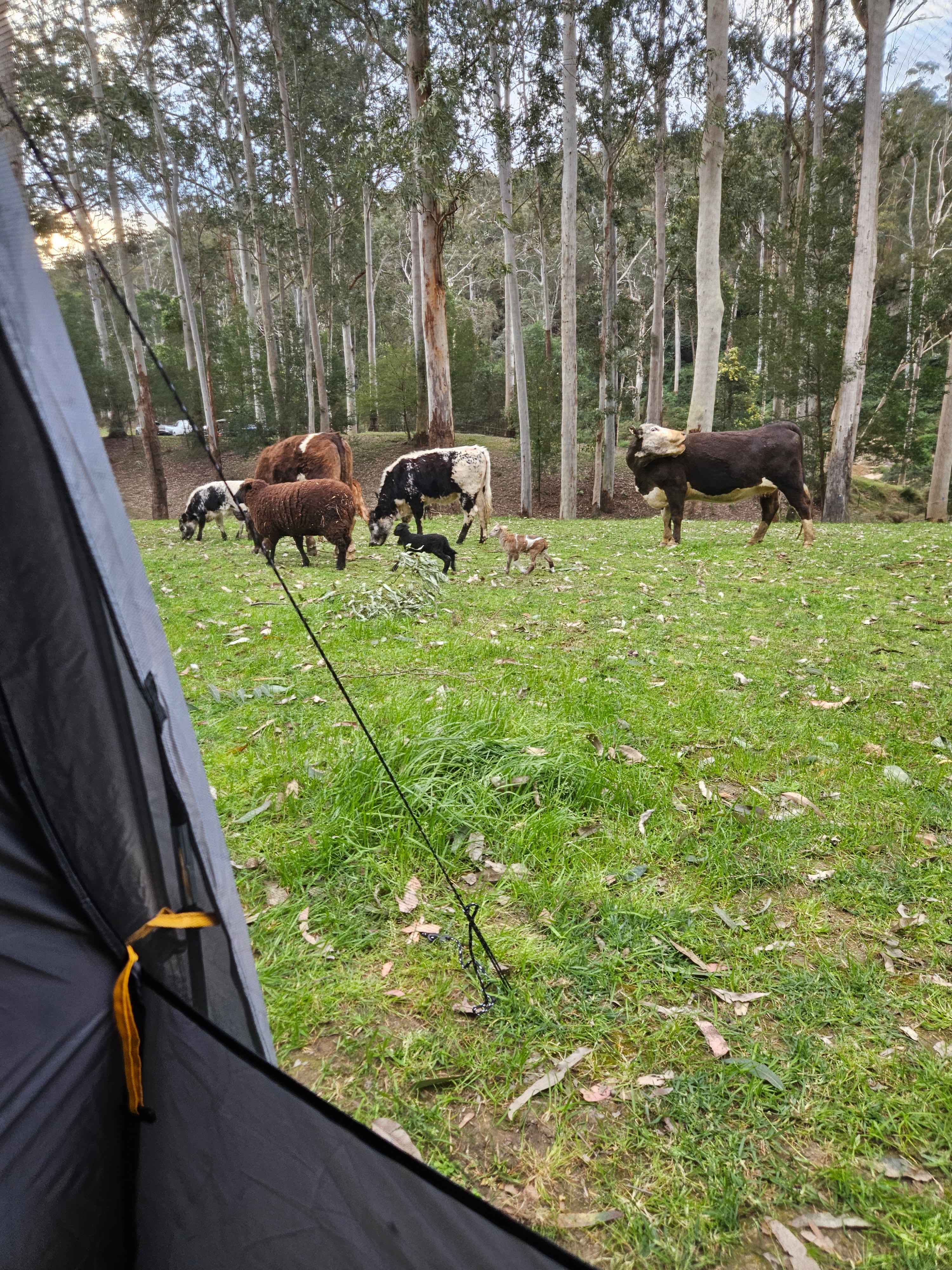 Jila Camp Grounds