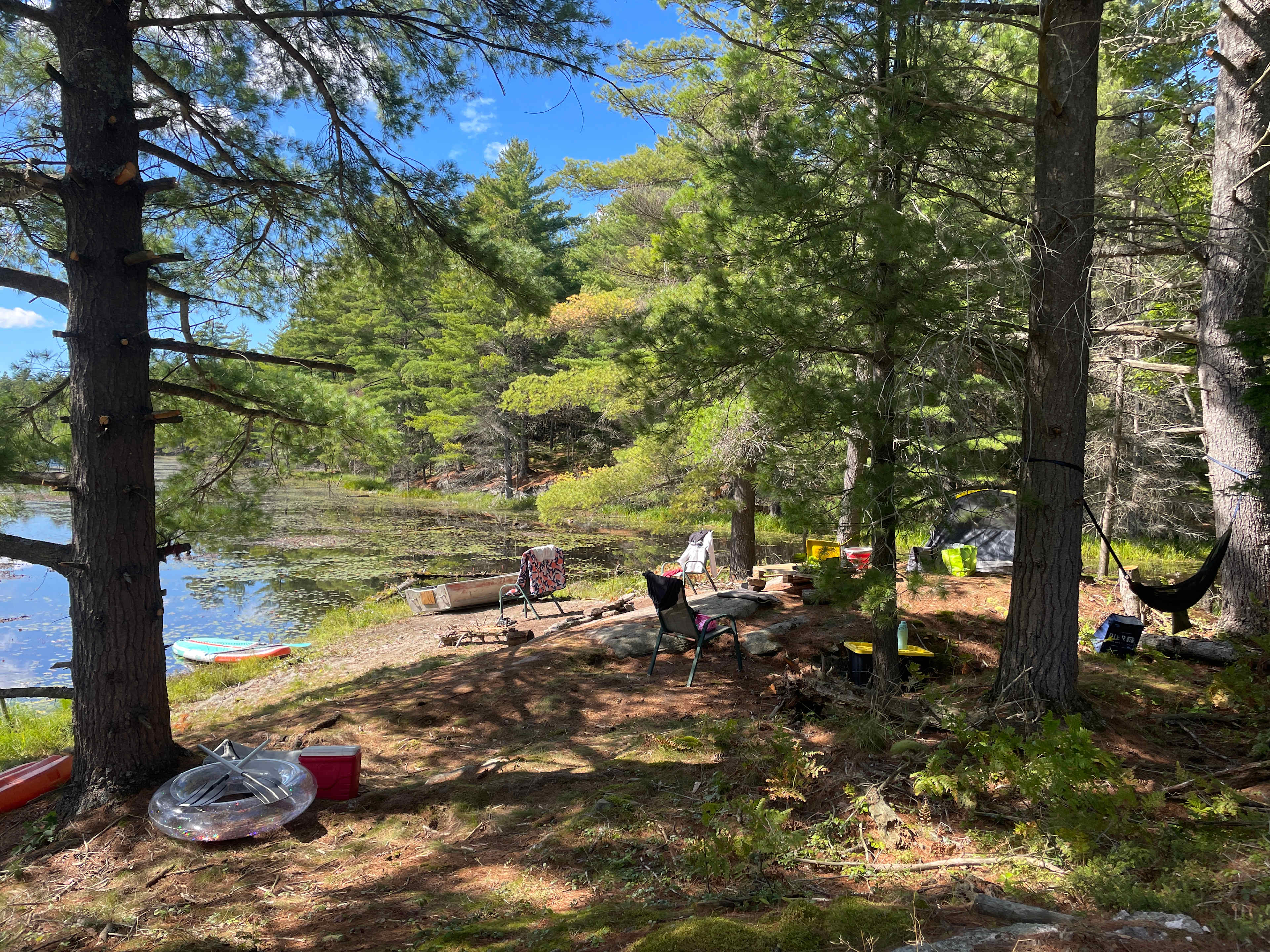 Picture of the site