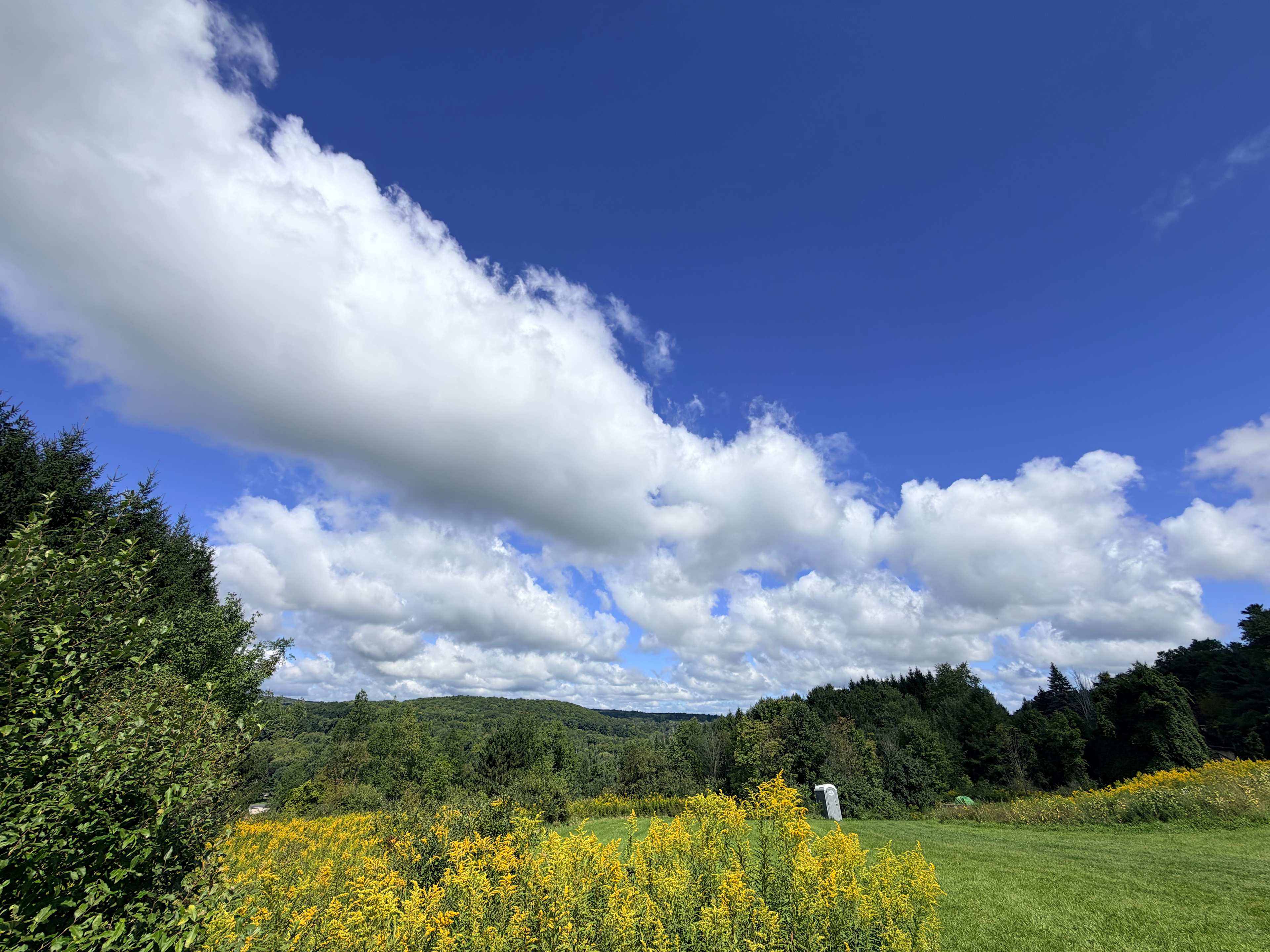Hillside Pond with a View