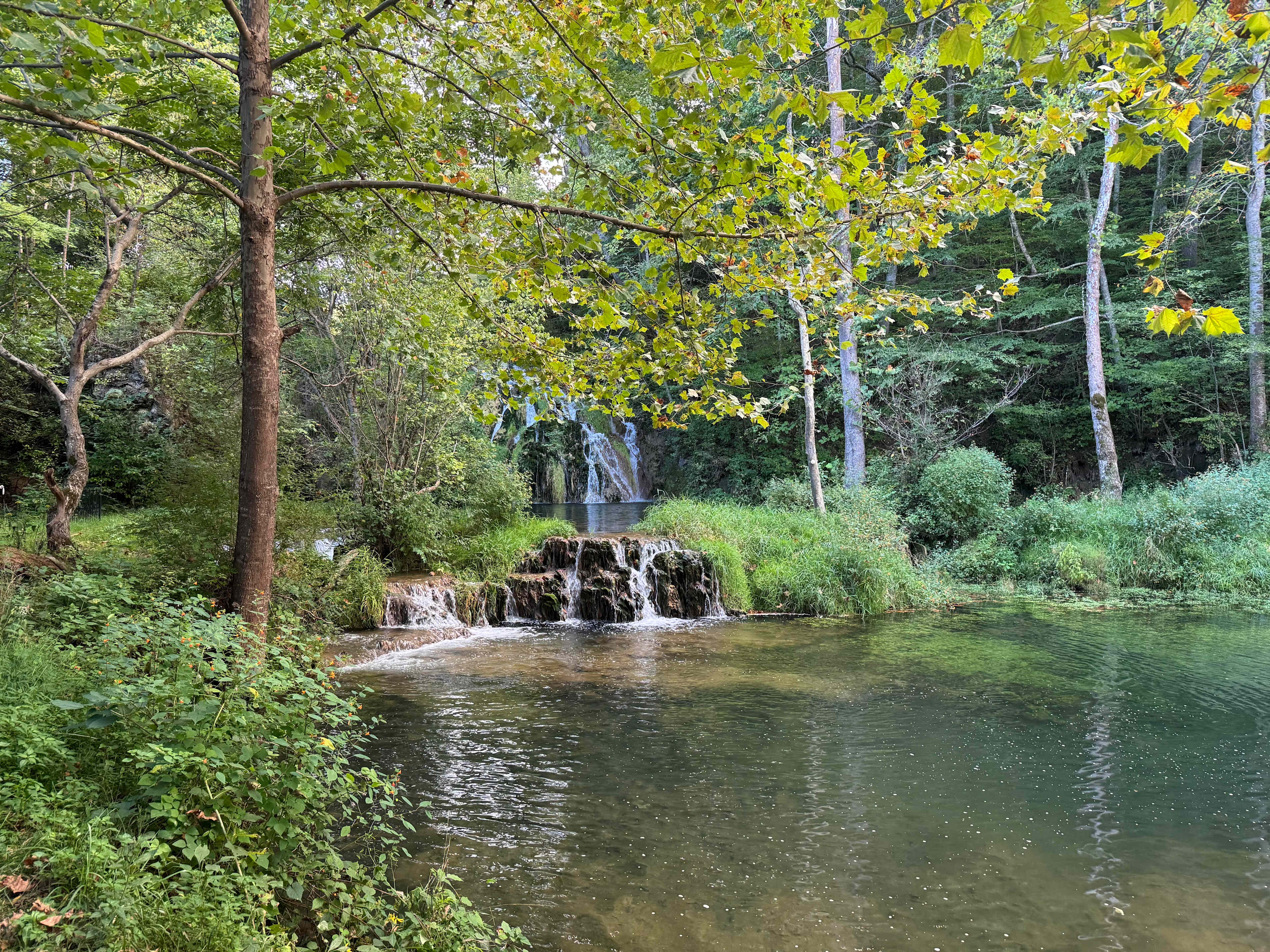 Beaverdam Falls
