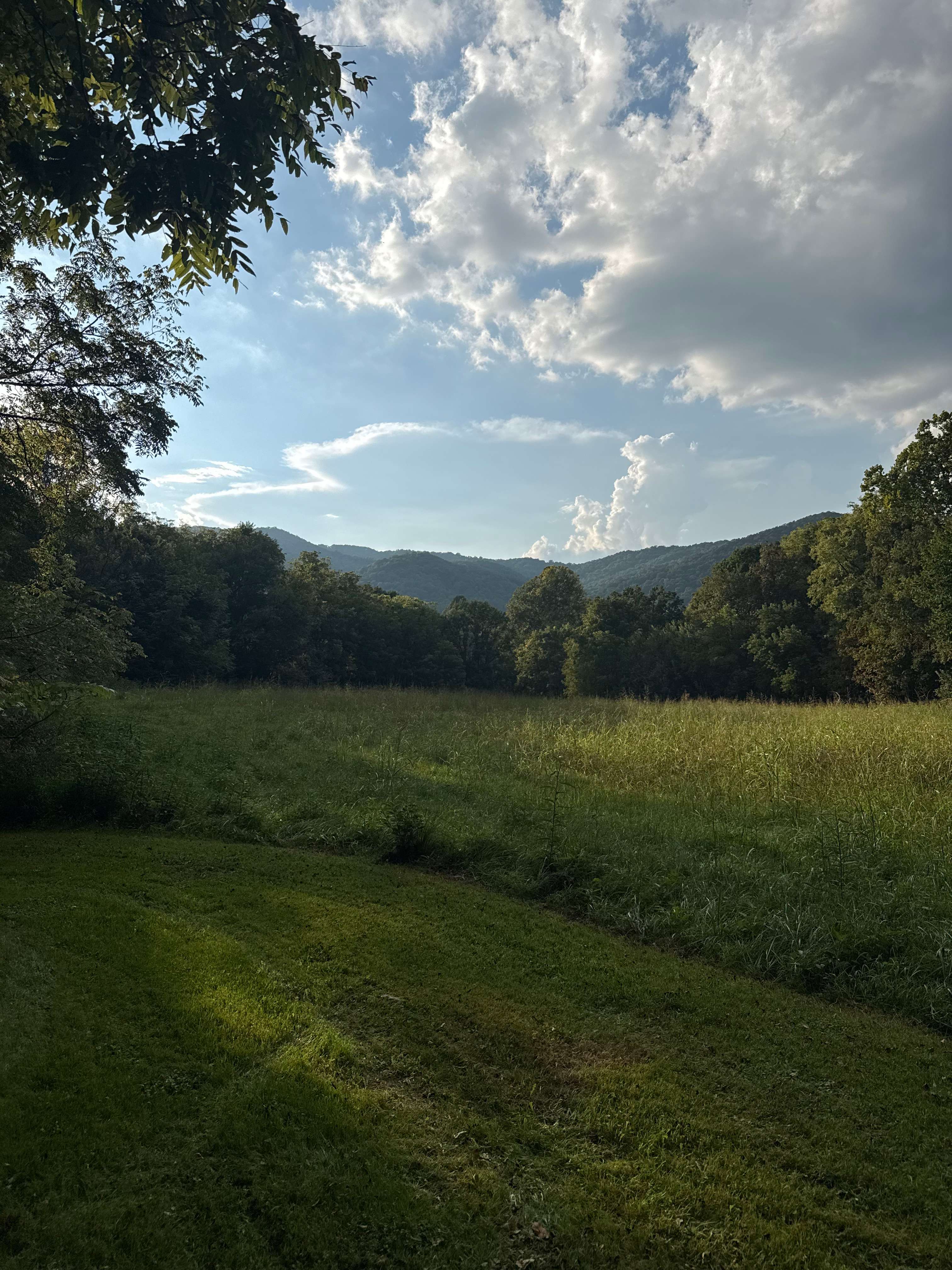 Farmhouse Gallery & Gardens
